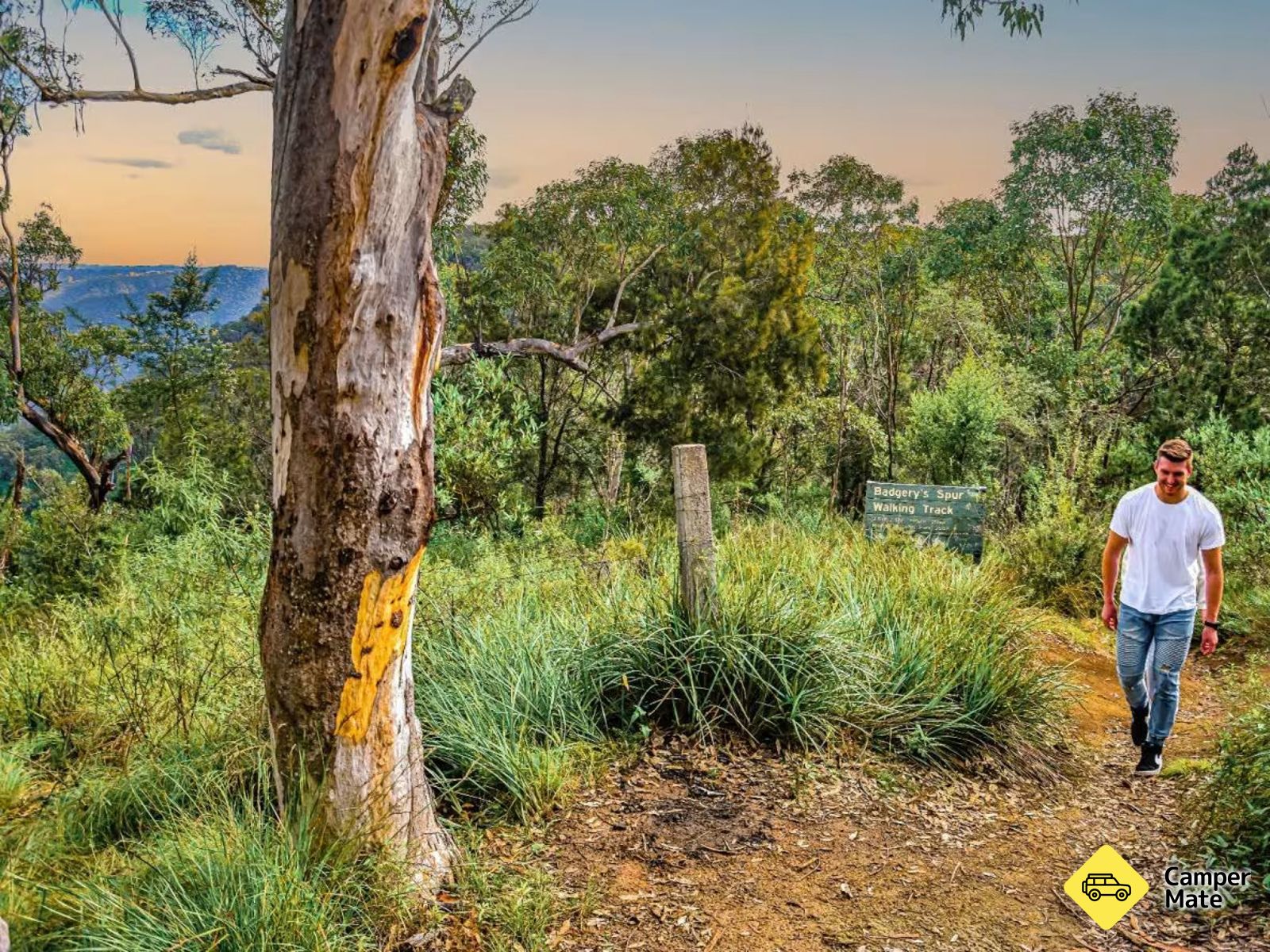 Badgerys Lookout Campsite
