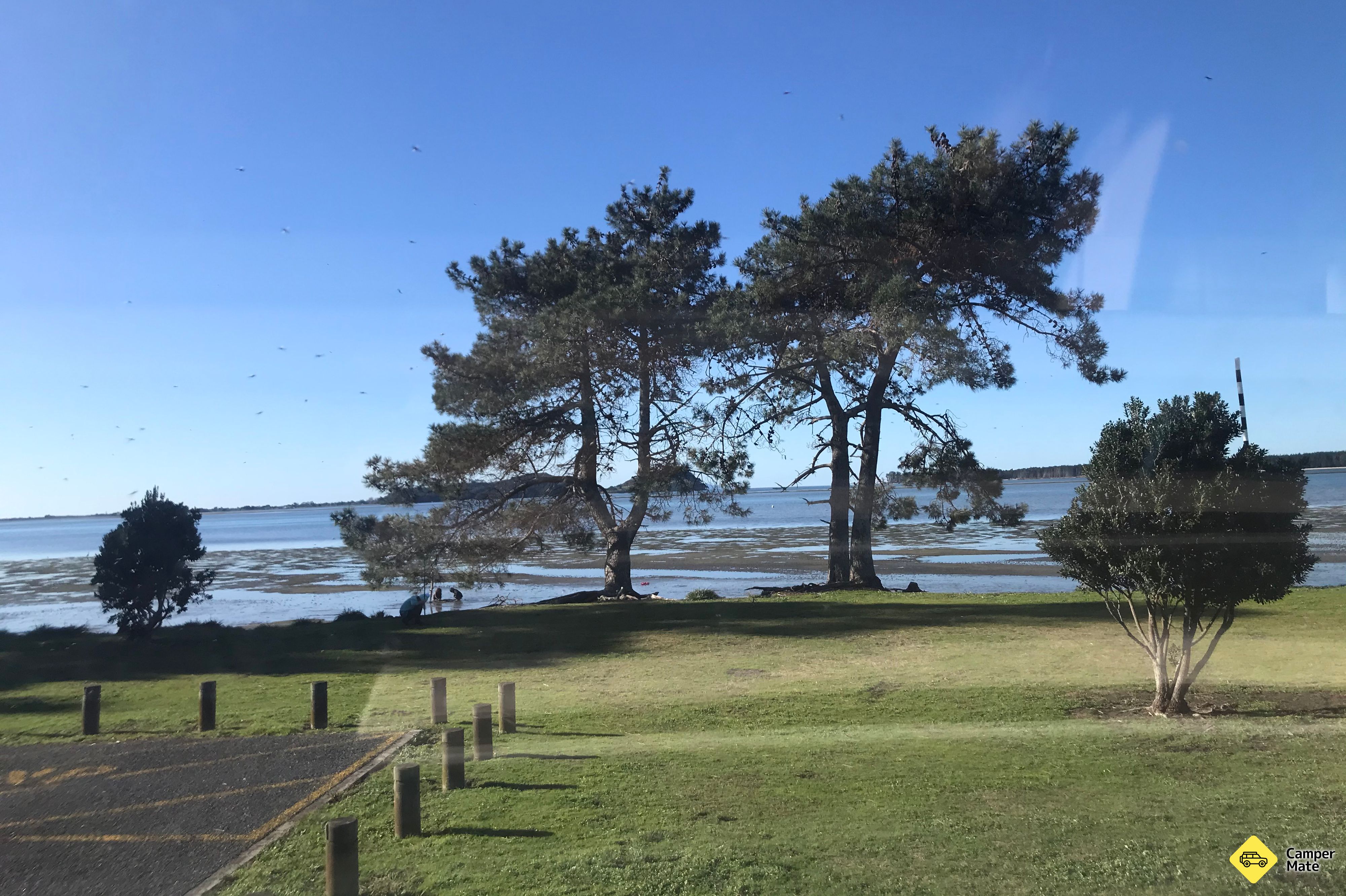 Tuapiro Reserve - Image 2