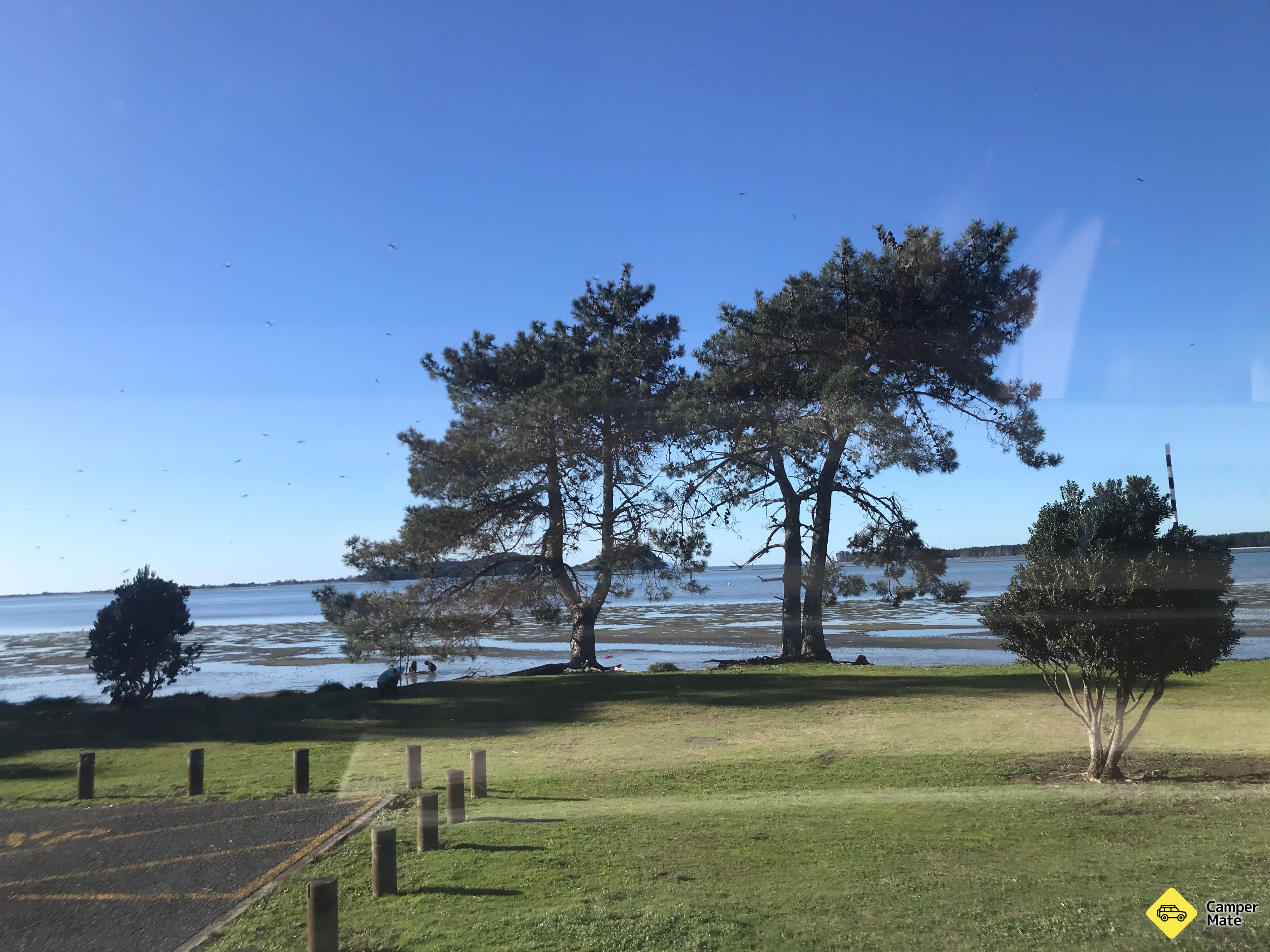 Tuapiro Reserve - Image 2