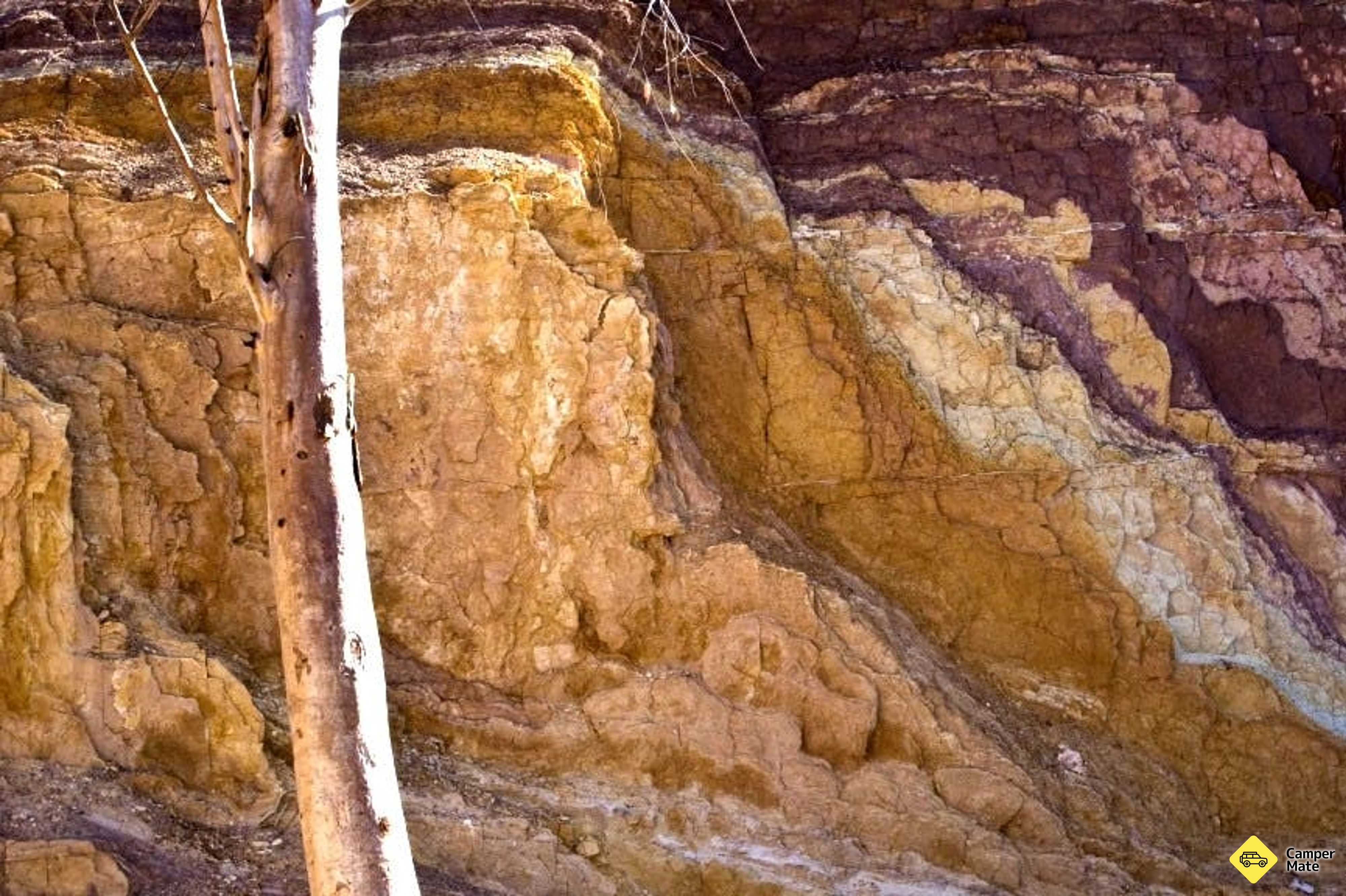 Øre Pits - Image 2