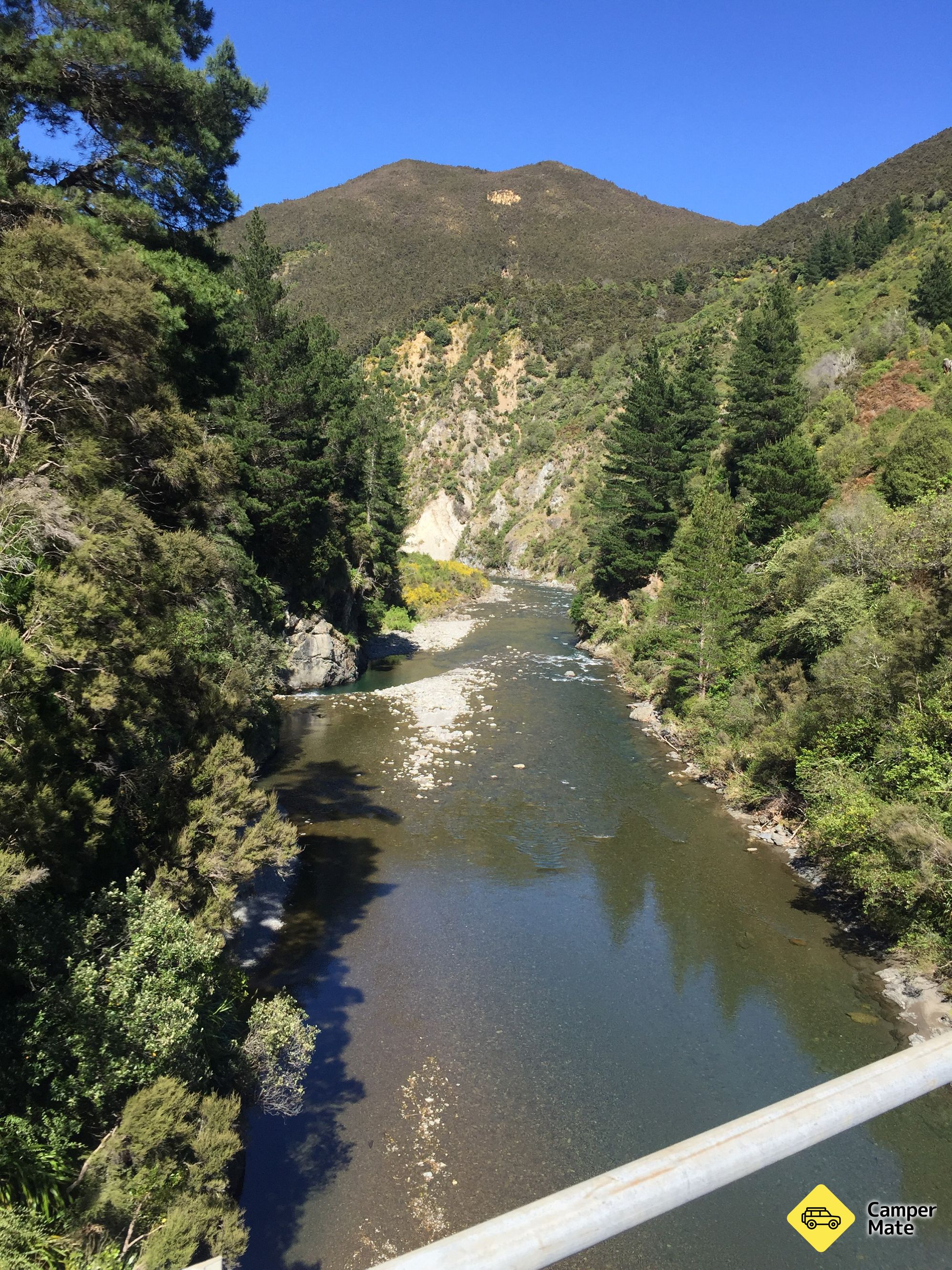 Springvale Suspension Bridge - Image 2