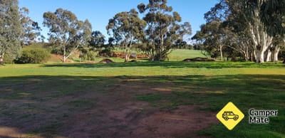 Tarlee Oval Camping Area