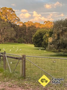Das Big Valley Campsite