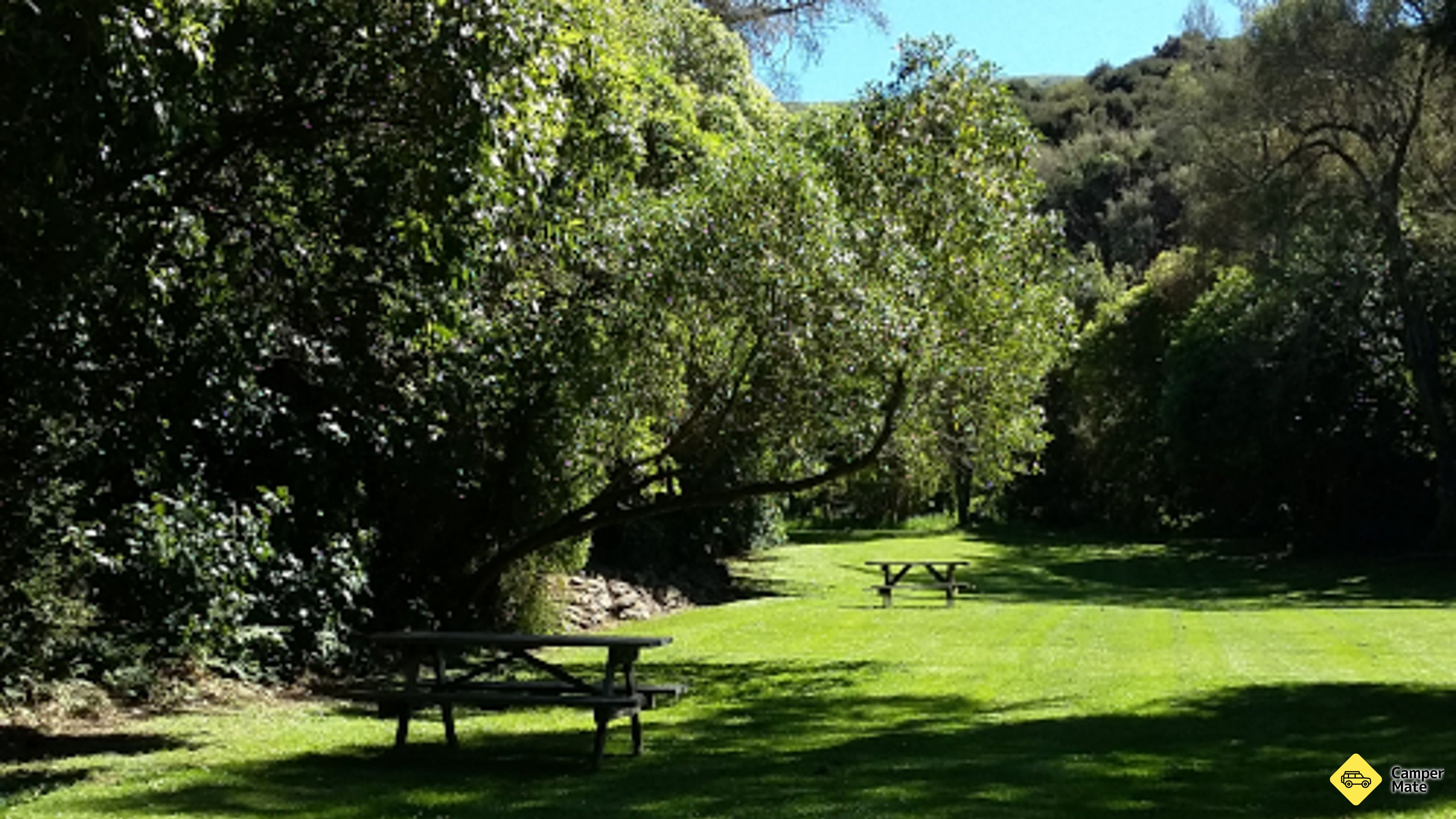 Acties voor Wainui YMCA Campground