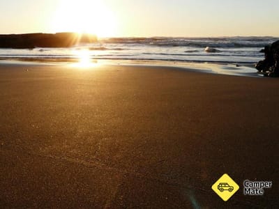 Port Waikato