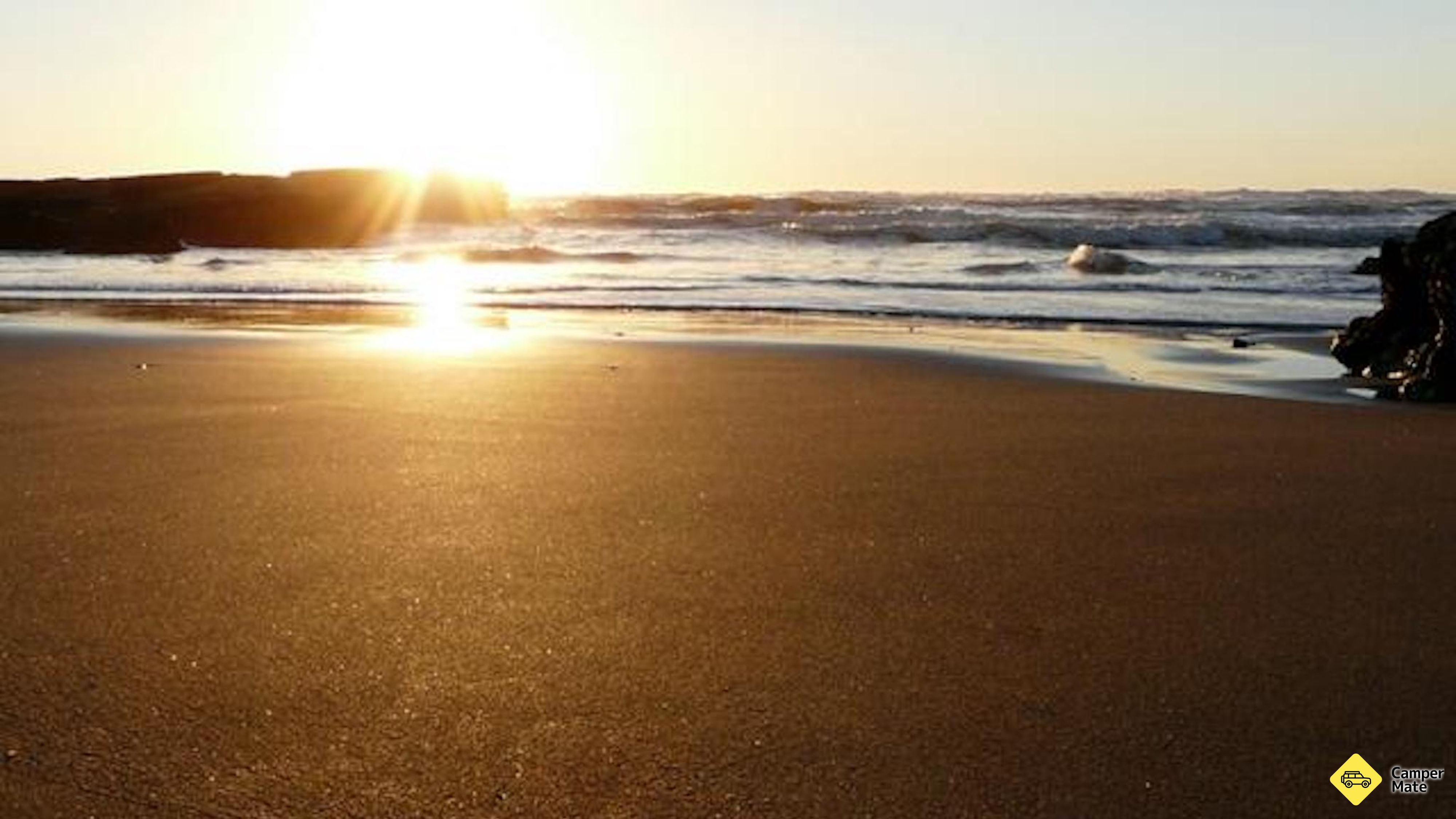 Port Waikato