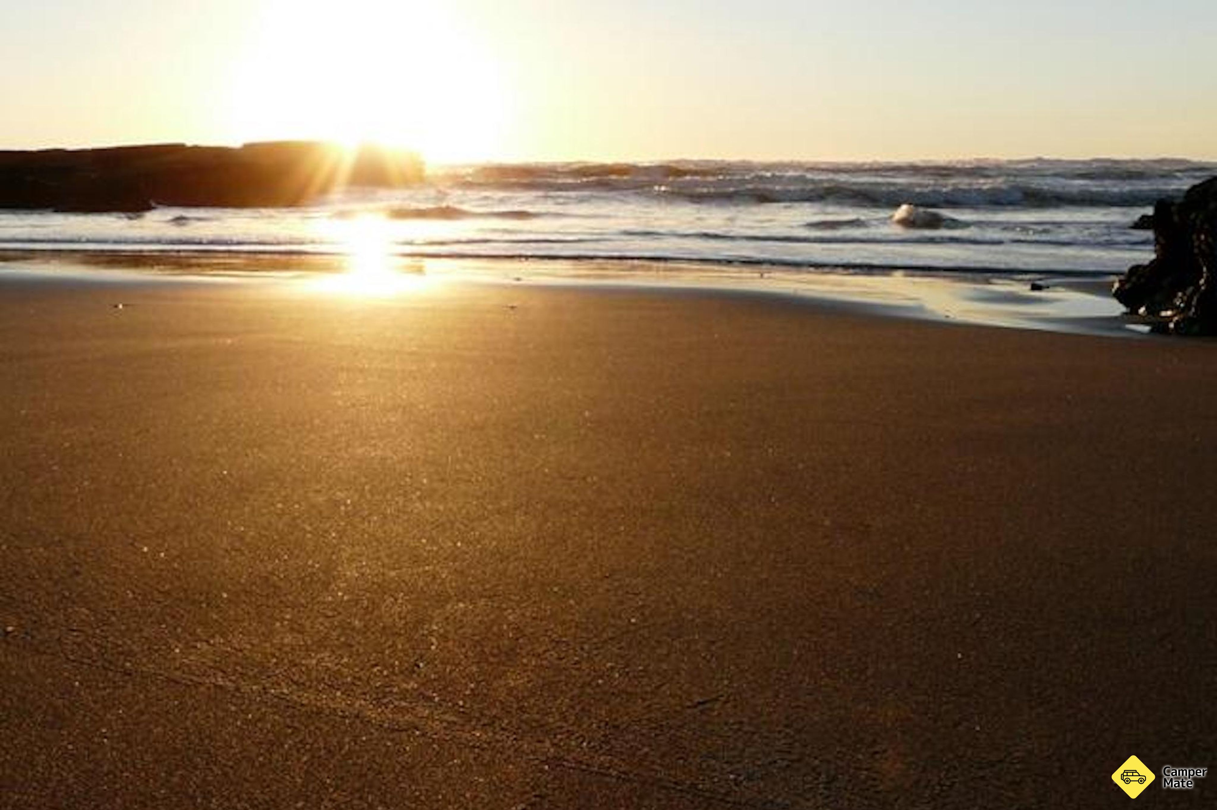 Port Waikato