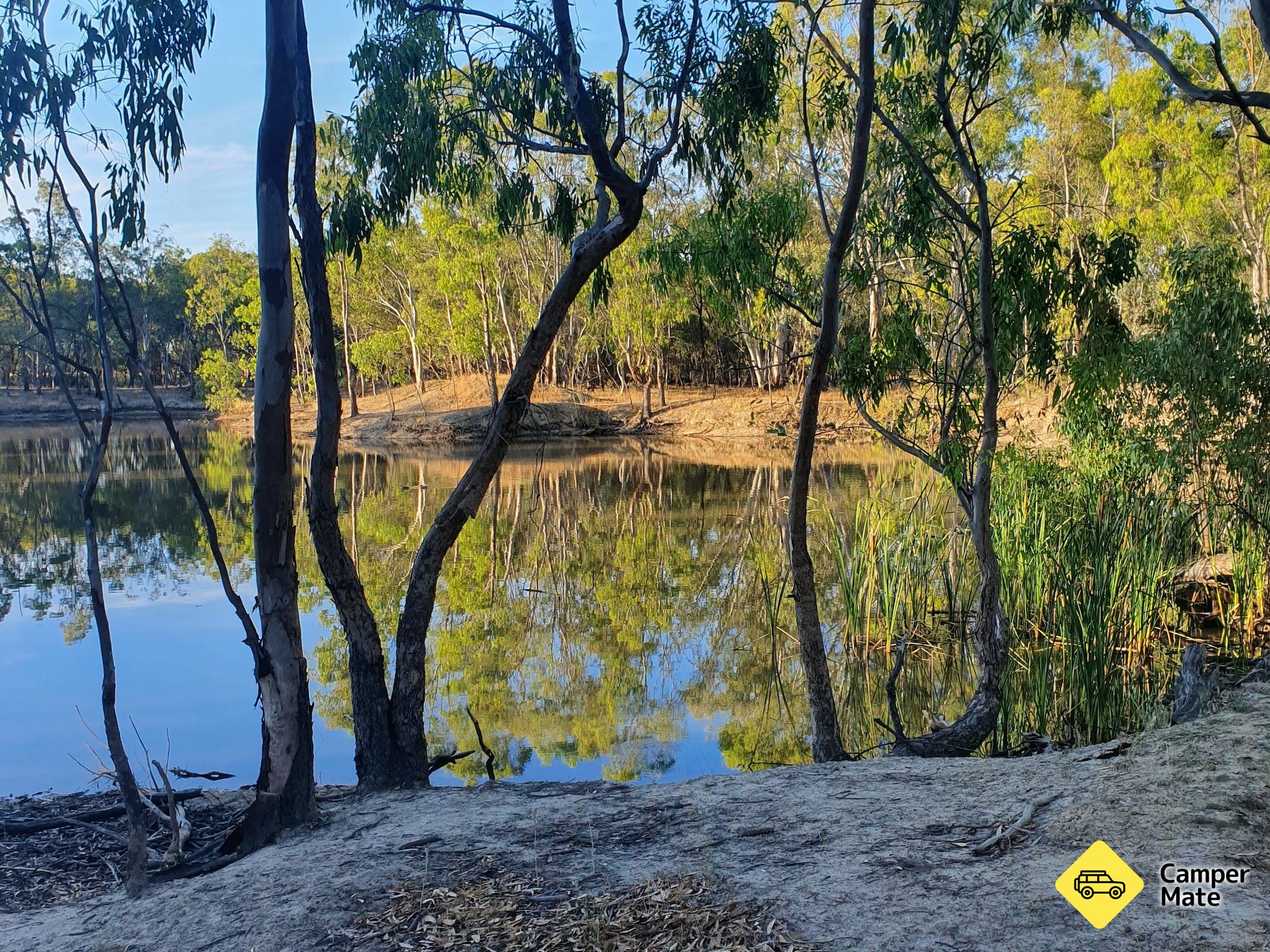 Deniliquin Pioneer Tourist Park - Image 2