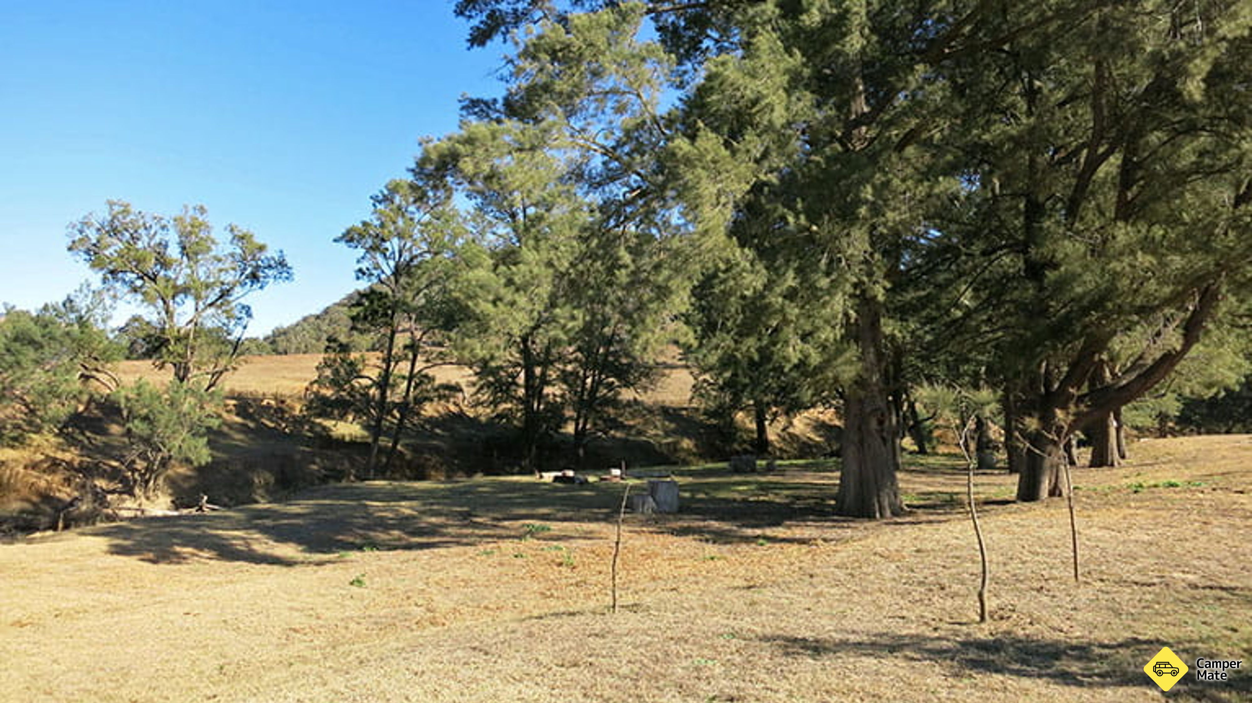 Campo de Campeón