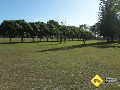 Riverside Burrum hlavy