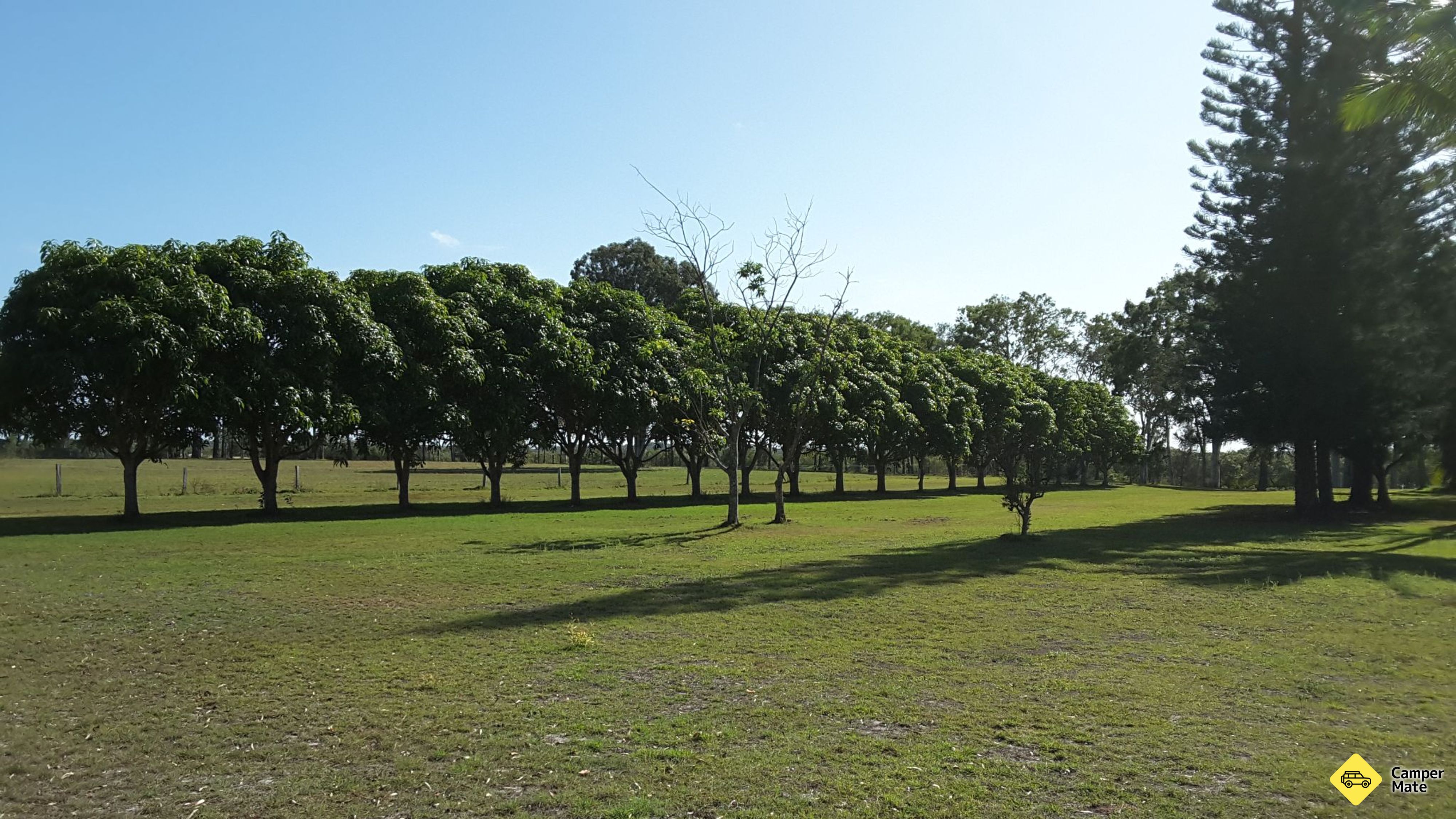 Riverside Burrum hlavy