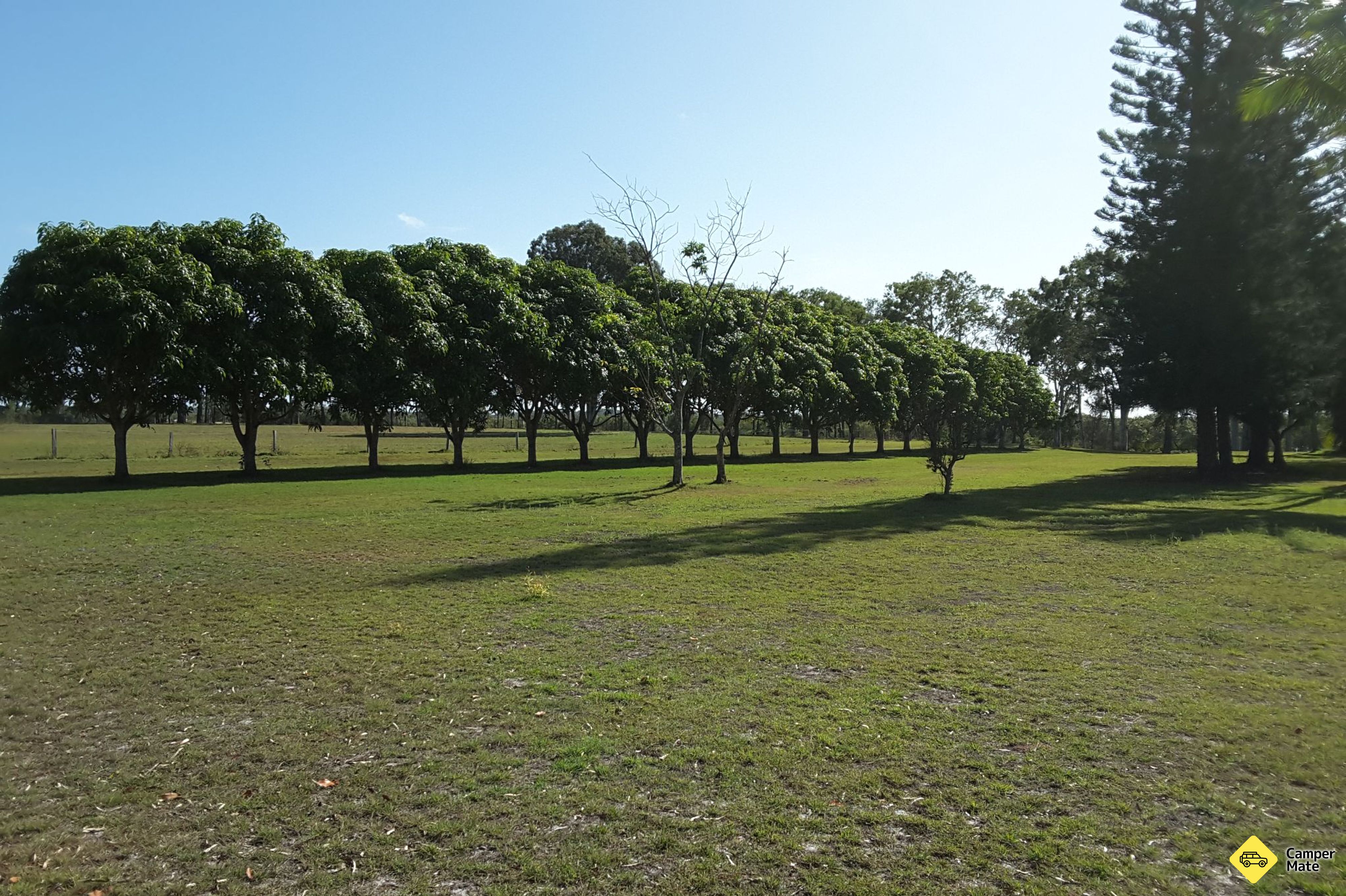 Riverside Burrum hlavy