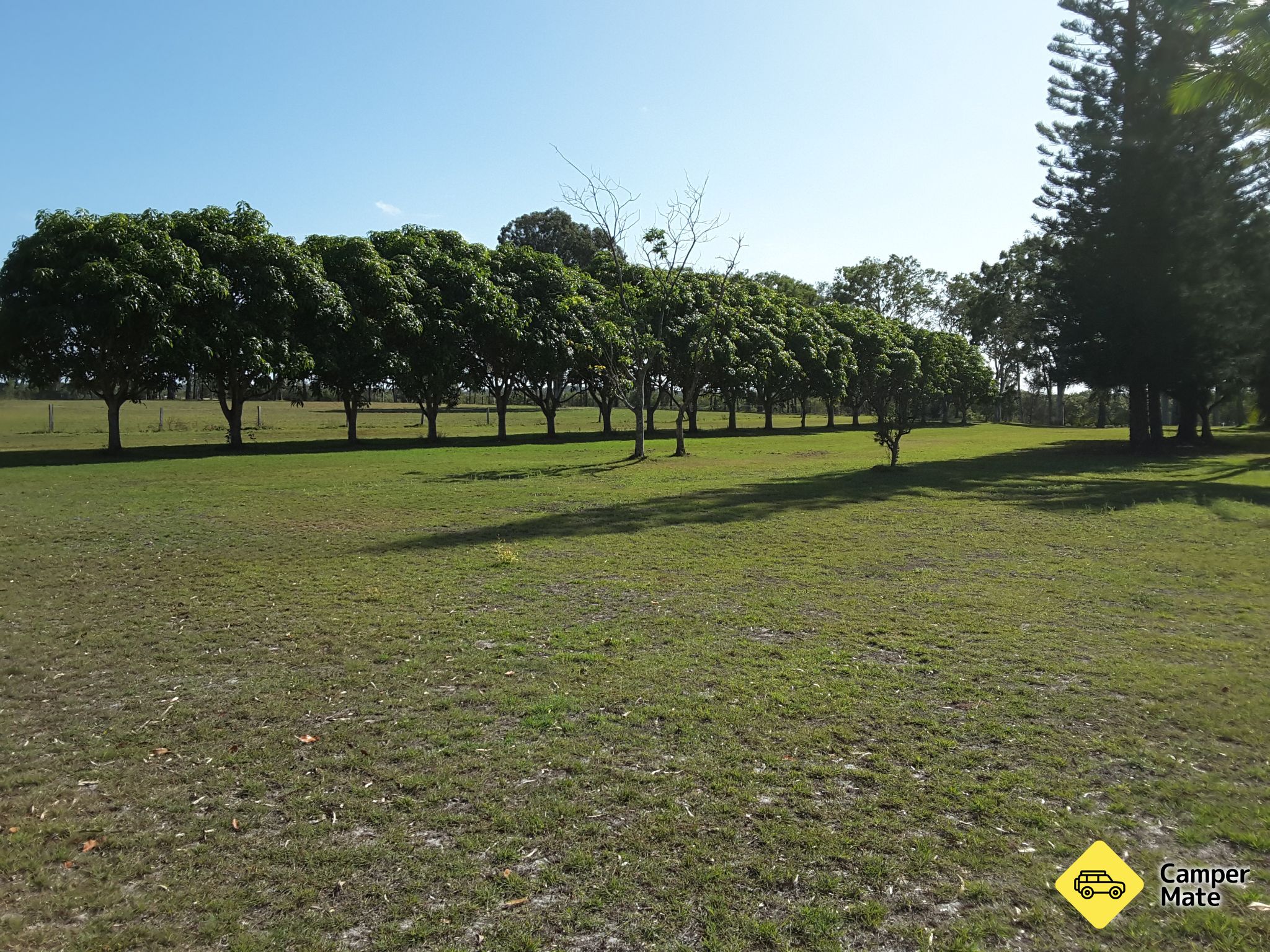 Riverside Burrum hlavy