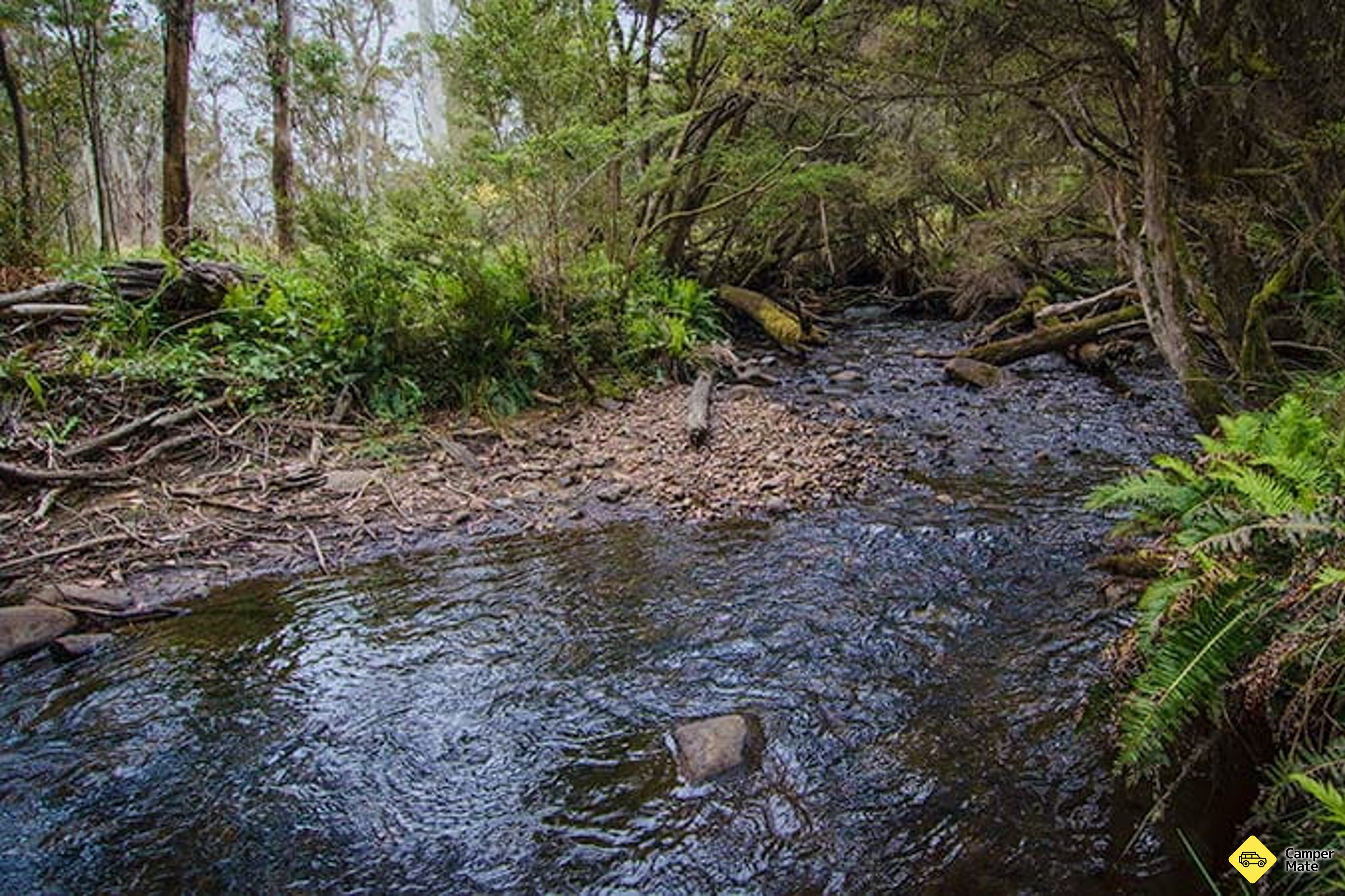 Tempat menginap di Horse Swamp Campground - Image 3