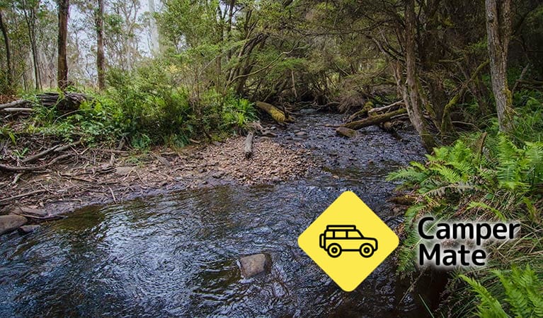 Tempat menginap di Horse Swamp Campground - Image 3
