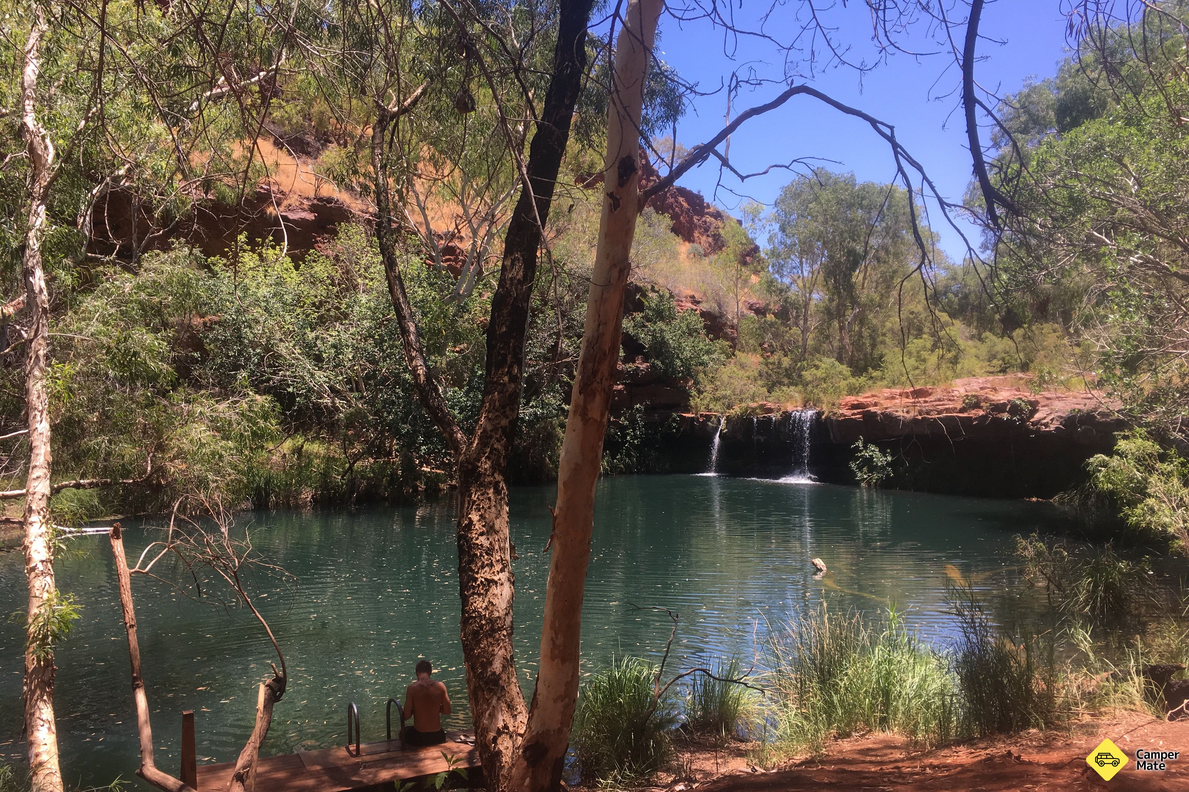 Fern Pool - Image 3