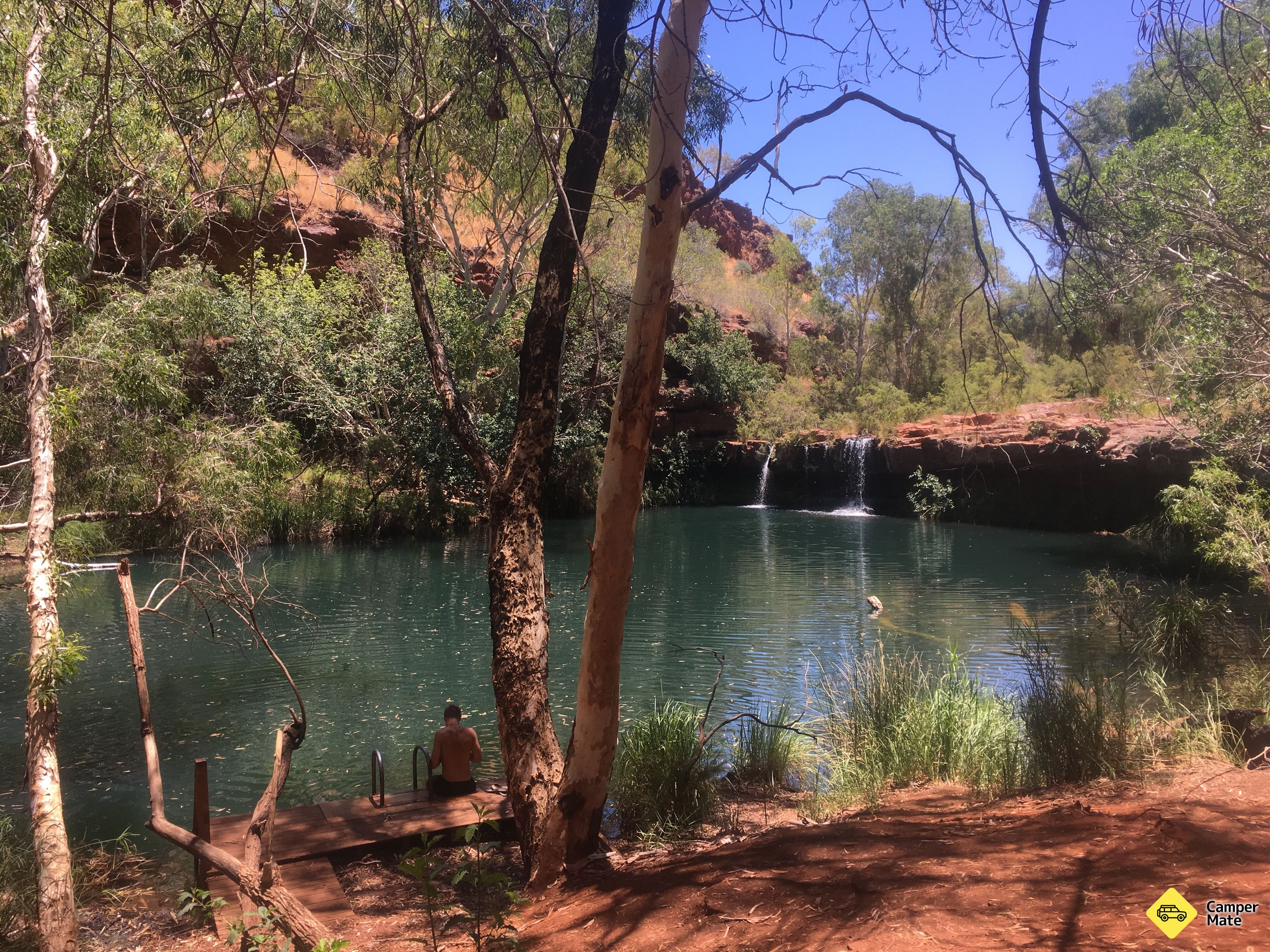 Fern Pool - Image 3