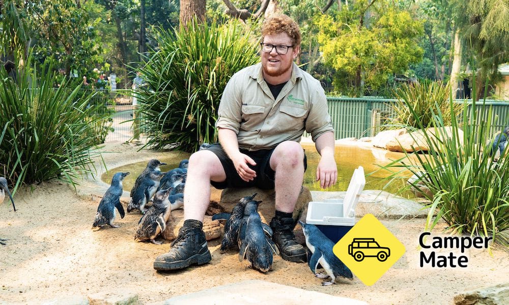 Featherdale Sydney Wildlife Park - Image 2