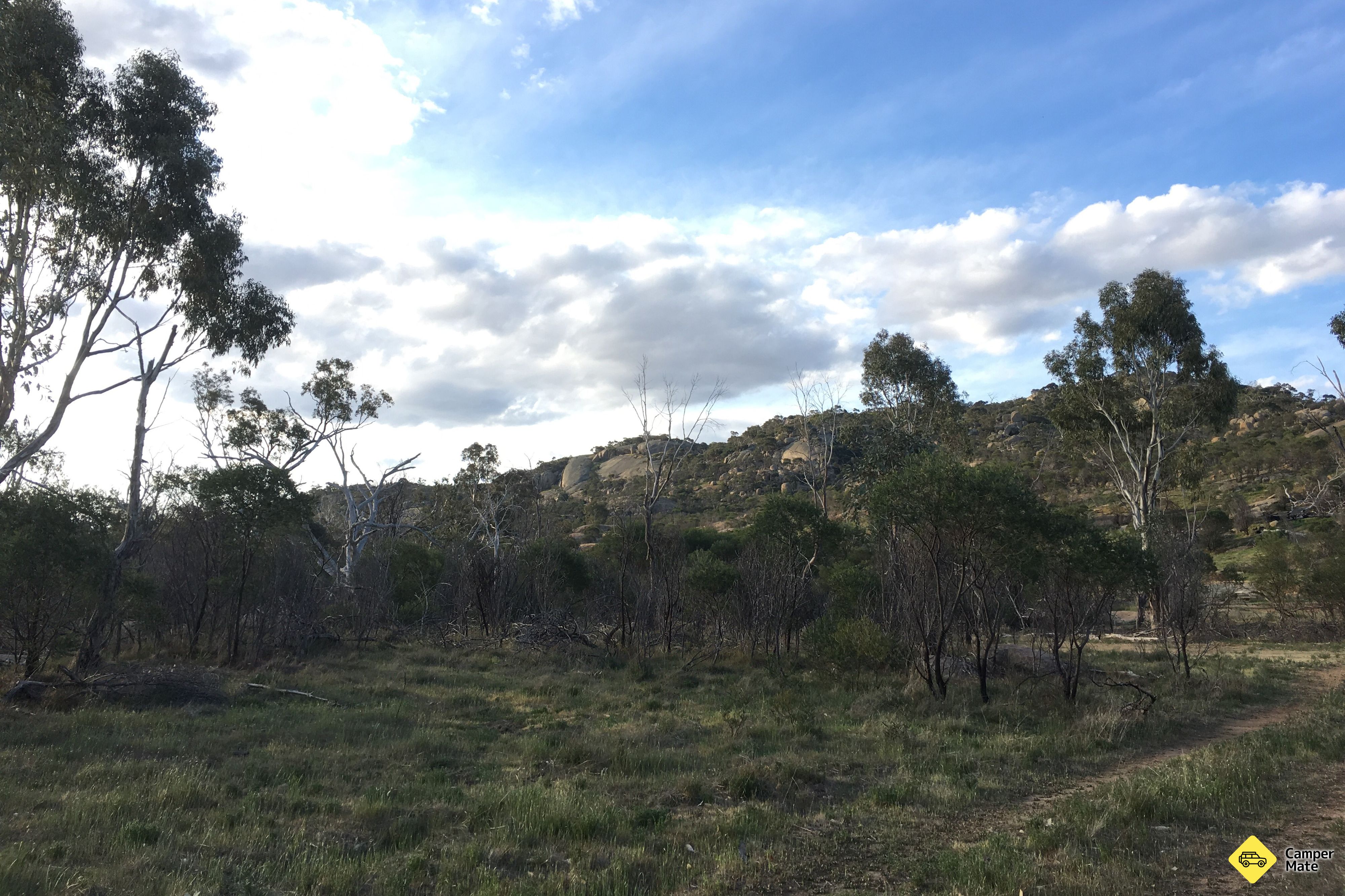 Mount Korong Scenic Reserve -leirintäalue - Image 2