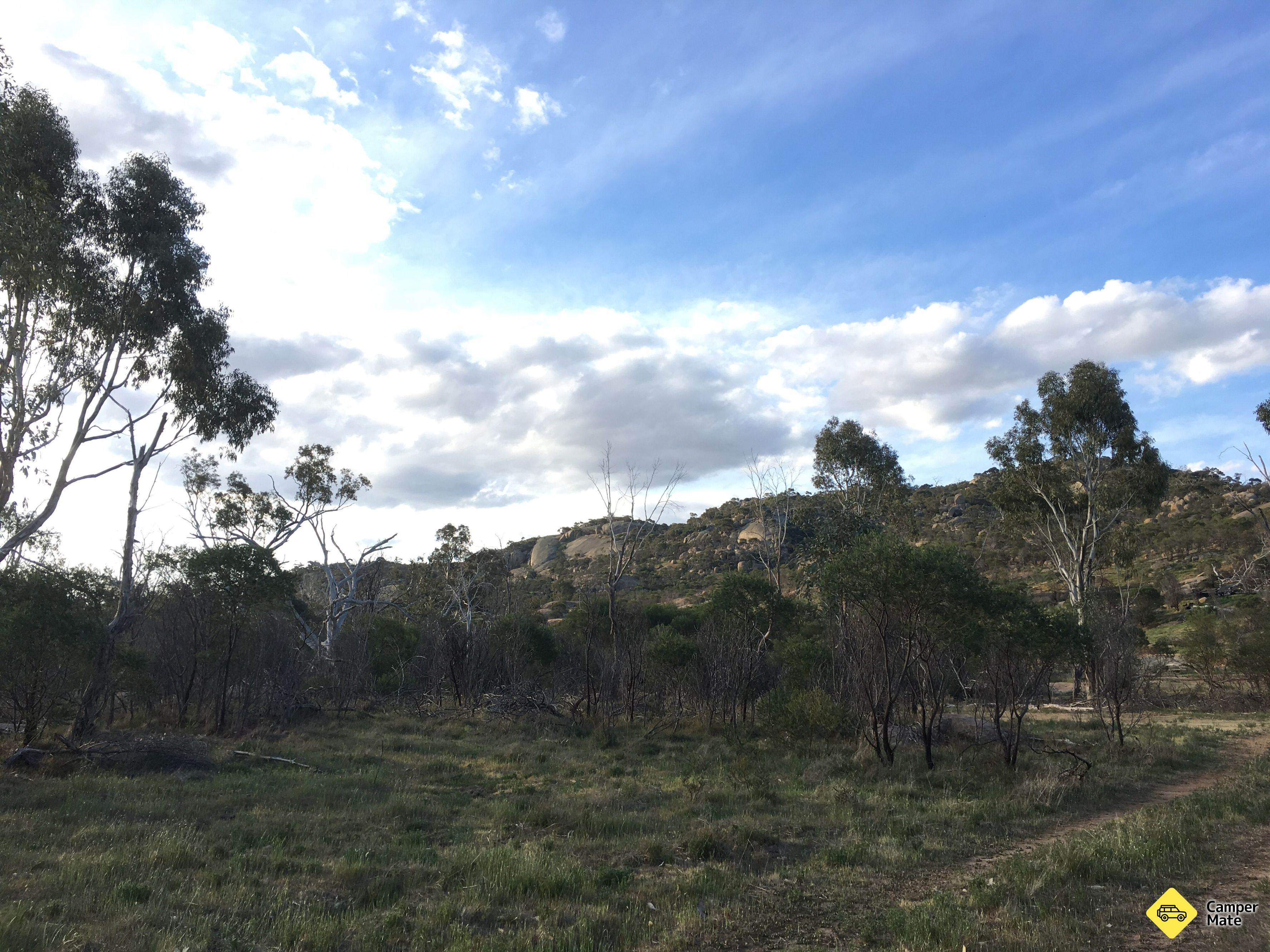 Mount Korong Scenic Reserve -leirintäalue - Image 2
