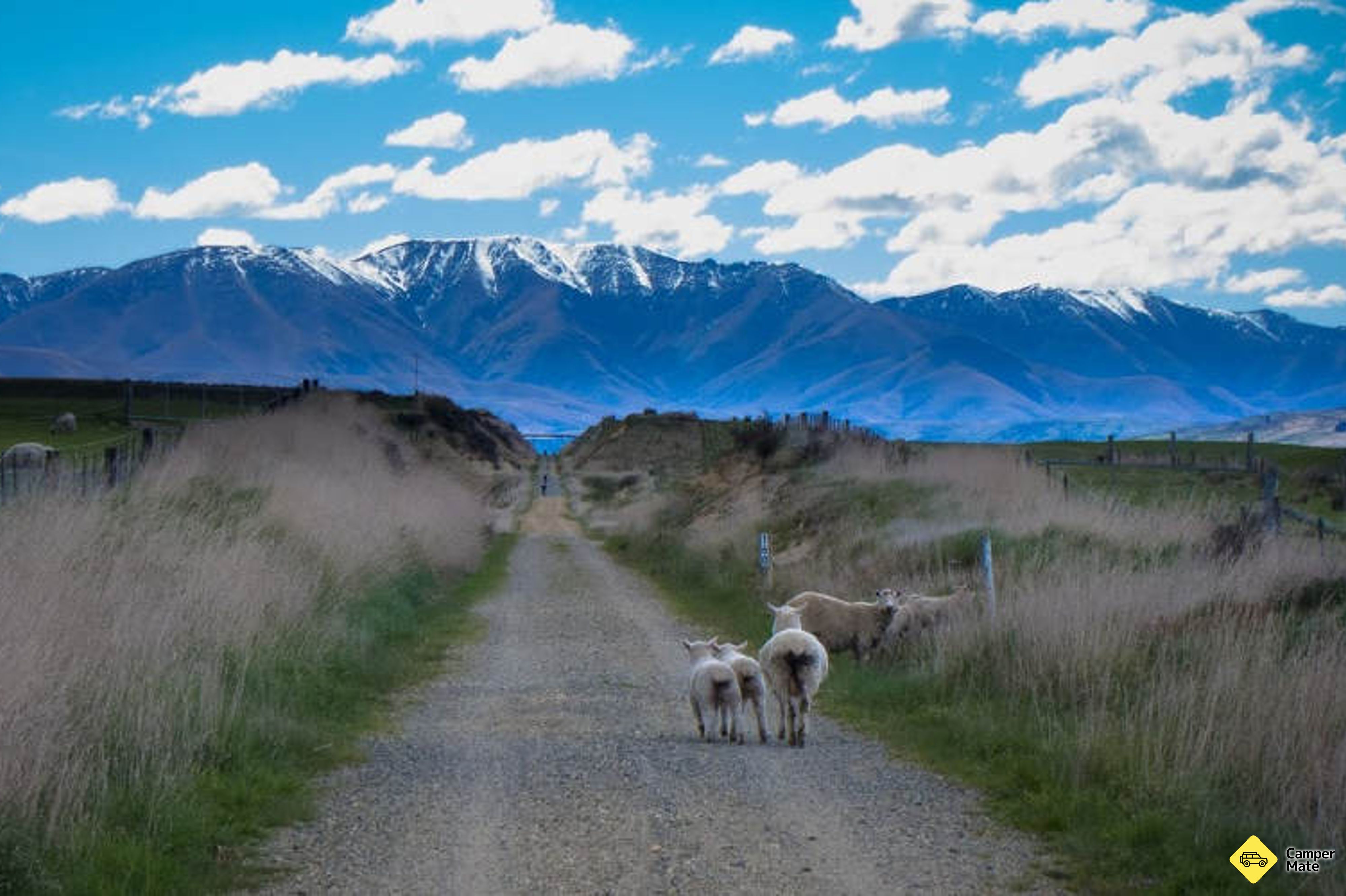Otago Rail Trail Cycling Tours