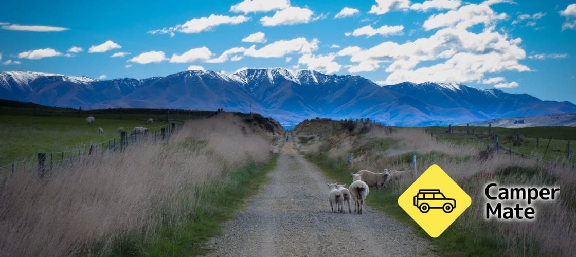 Otago Rail Trail Cycling Tours