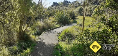 Faulkner Bush Reserve and Walk के बारे में टिप्पणियाँ