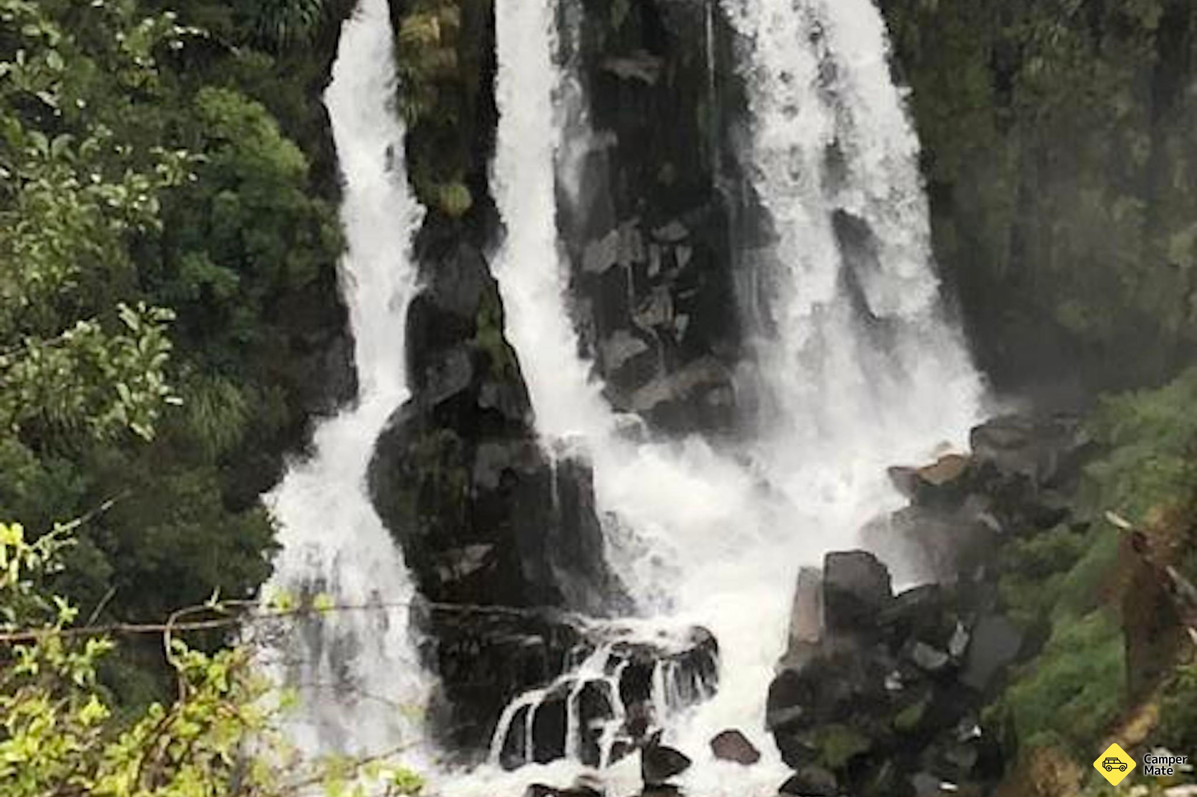 Waipunga Falls Lookout 부근의 호텔