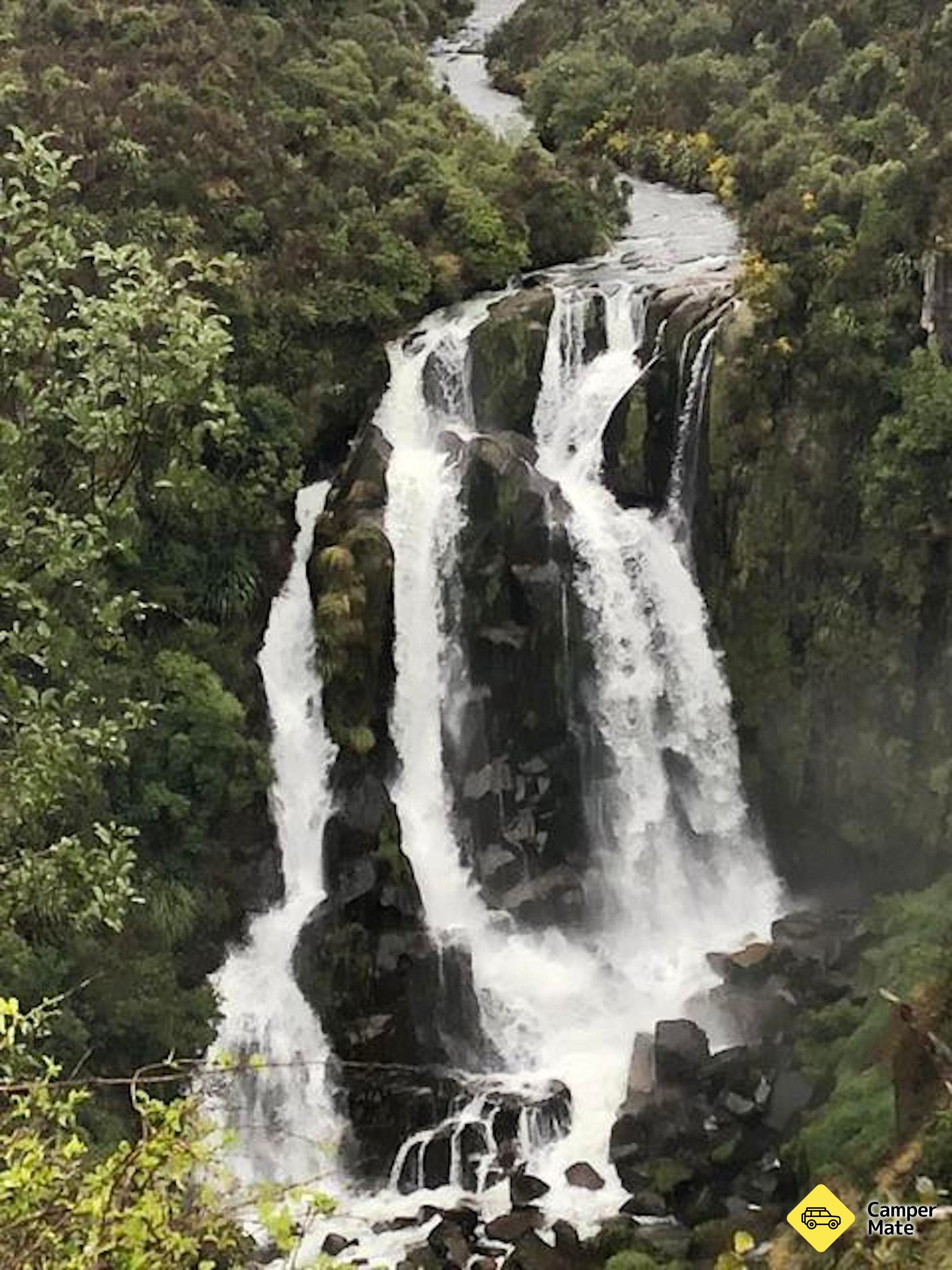 Waipunga Falls Lookout 부근의 호텔