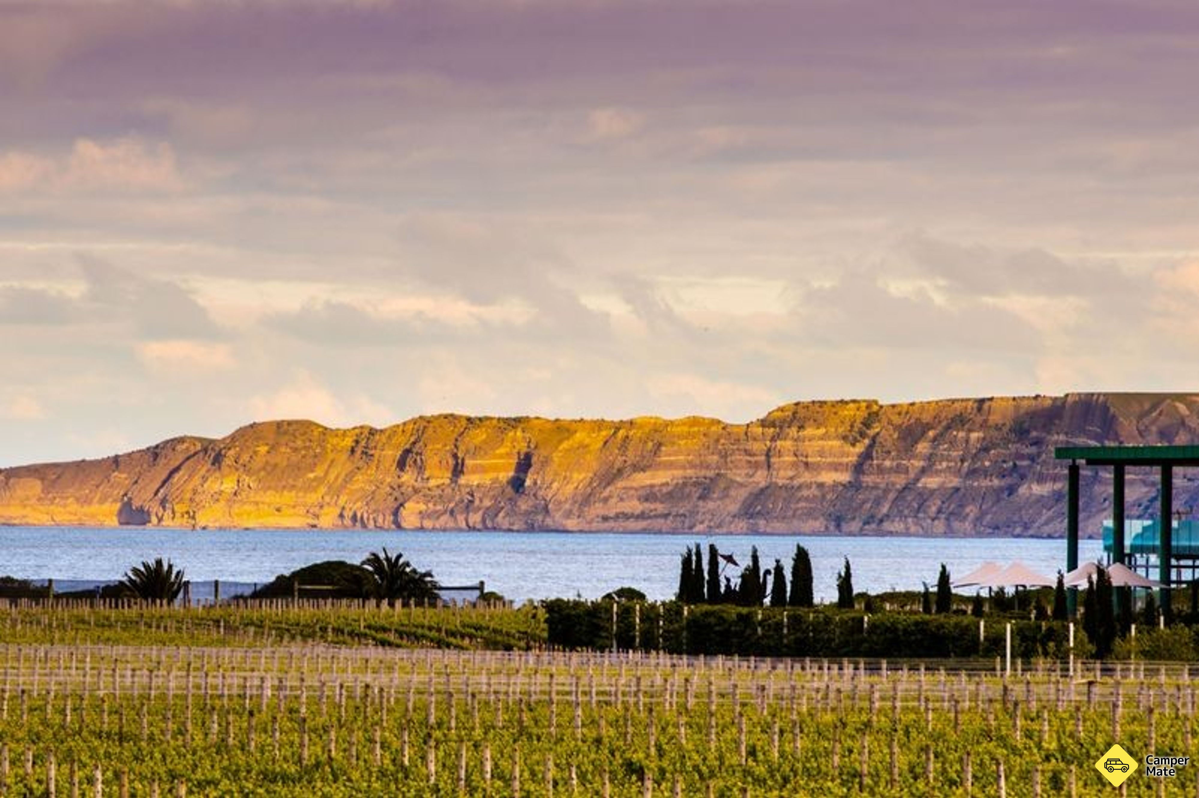 Elephant Hill Winery