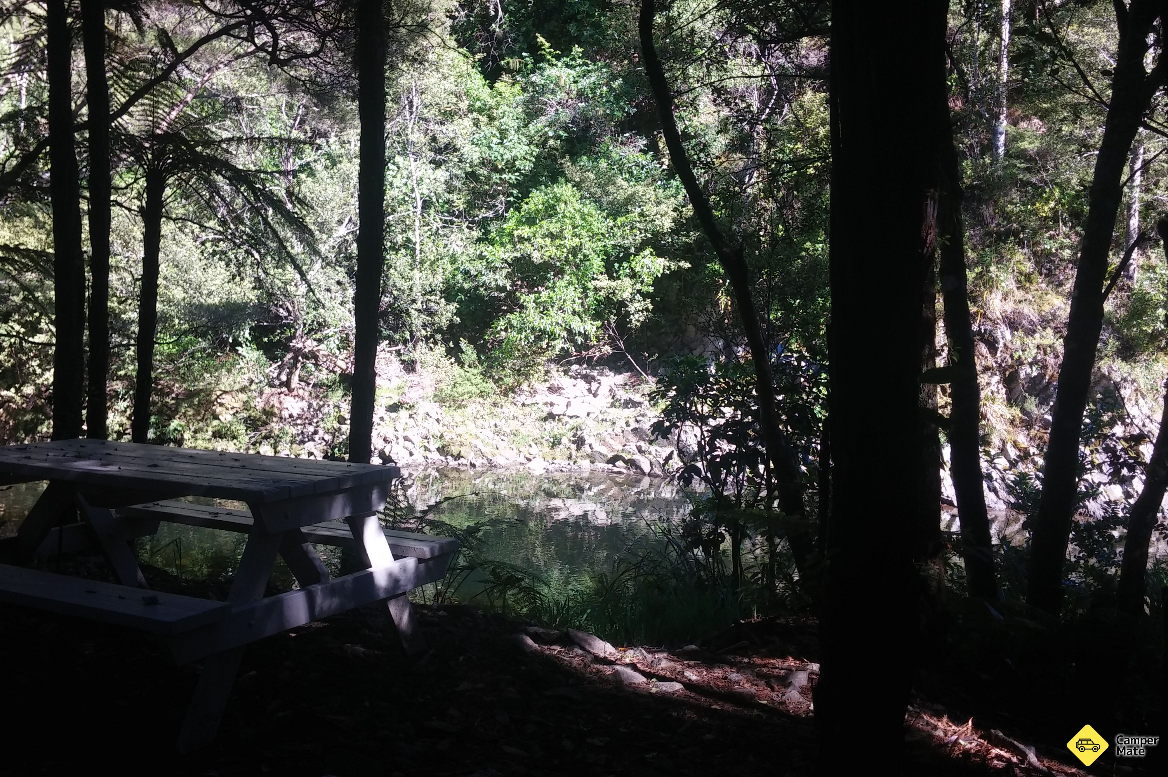 Wharekirauponga Track - Image 2