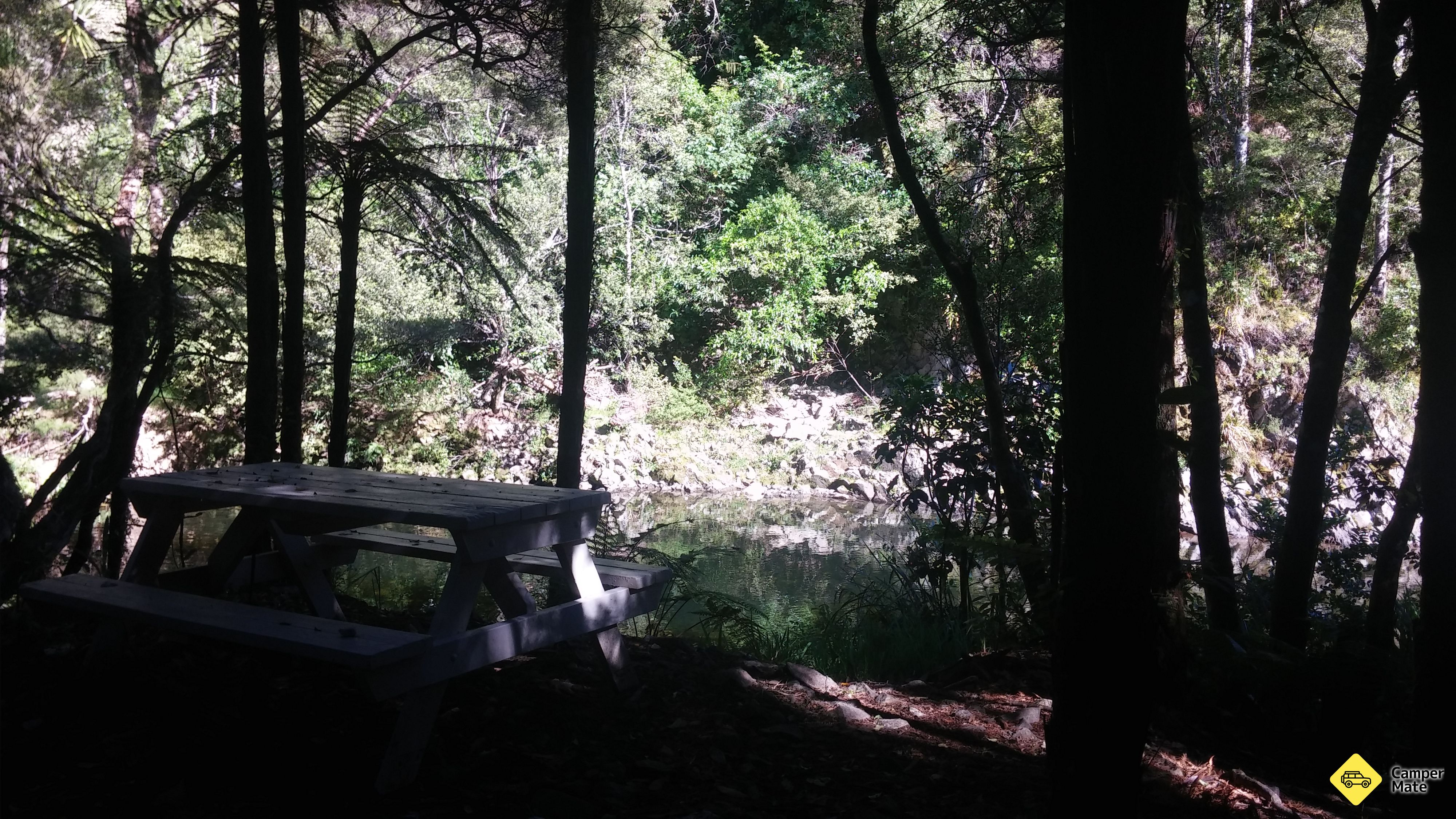 Wharekirauponga Track - Image 2