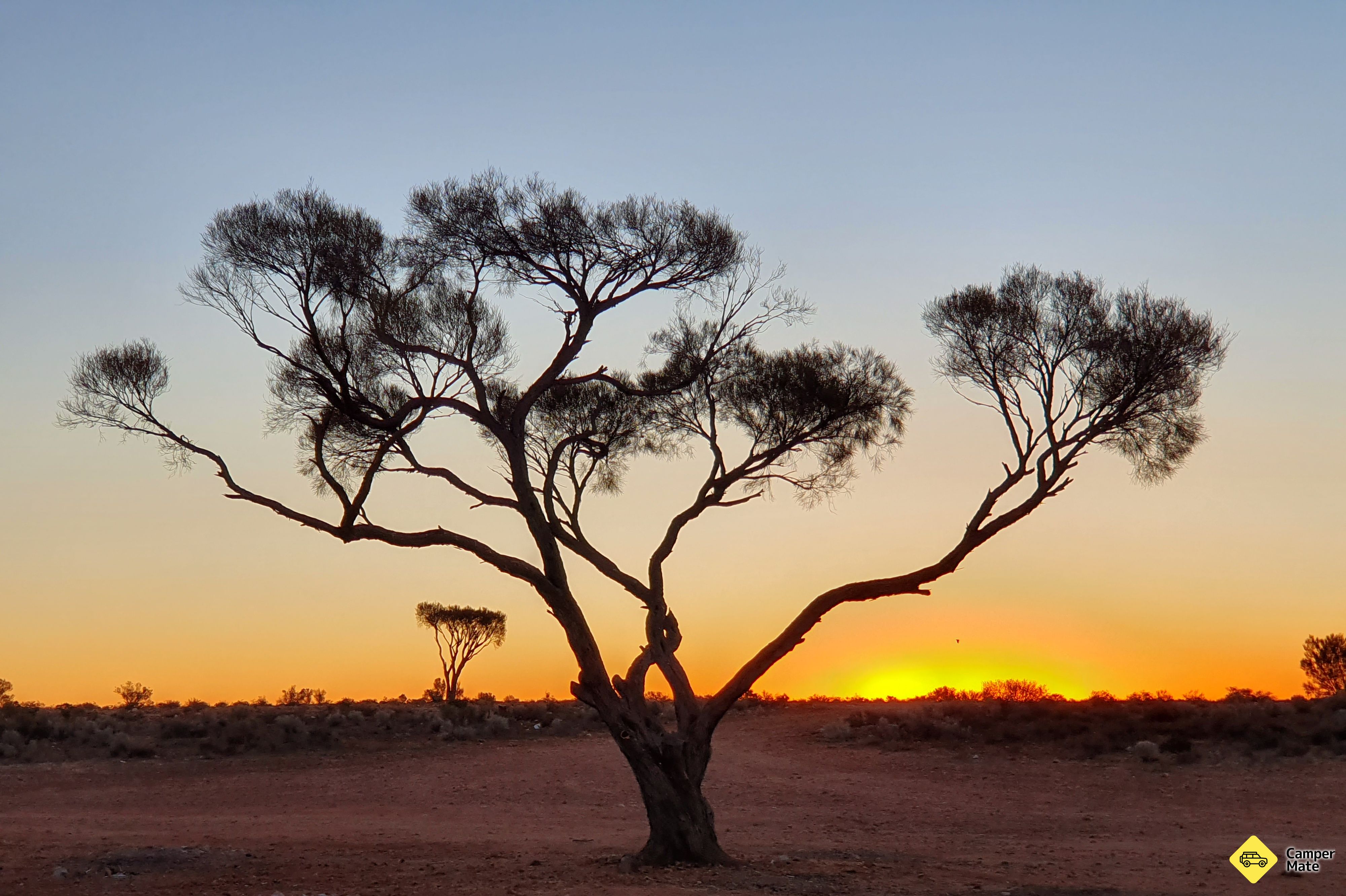 La région de Mulga Well - Image 2