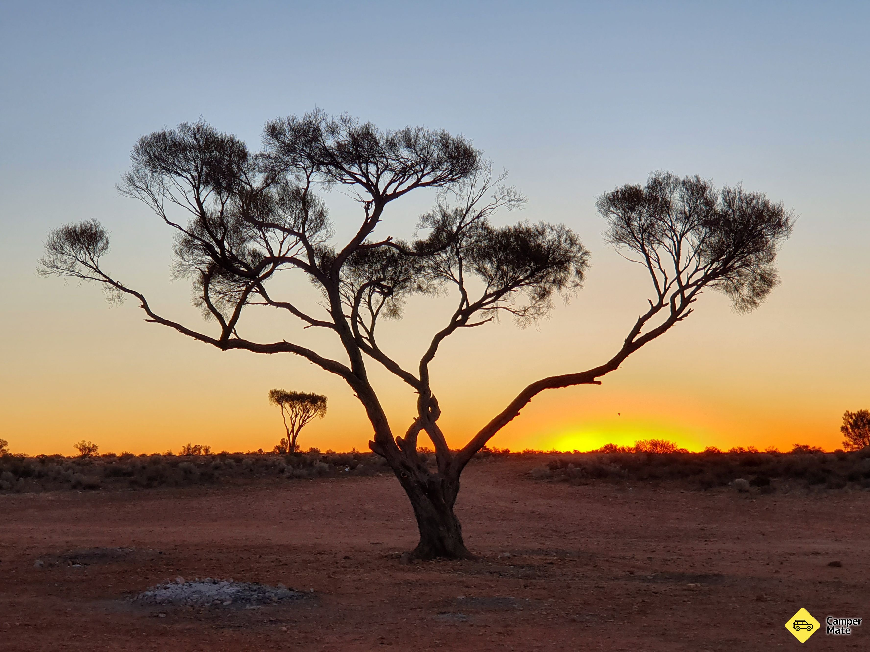 La région de Mulga Well - Image 2