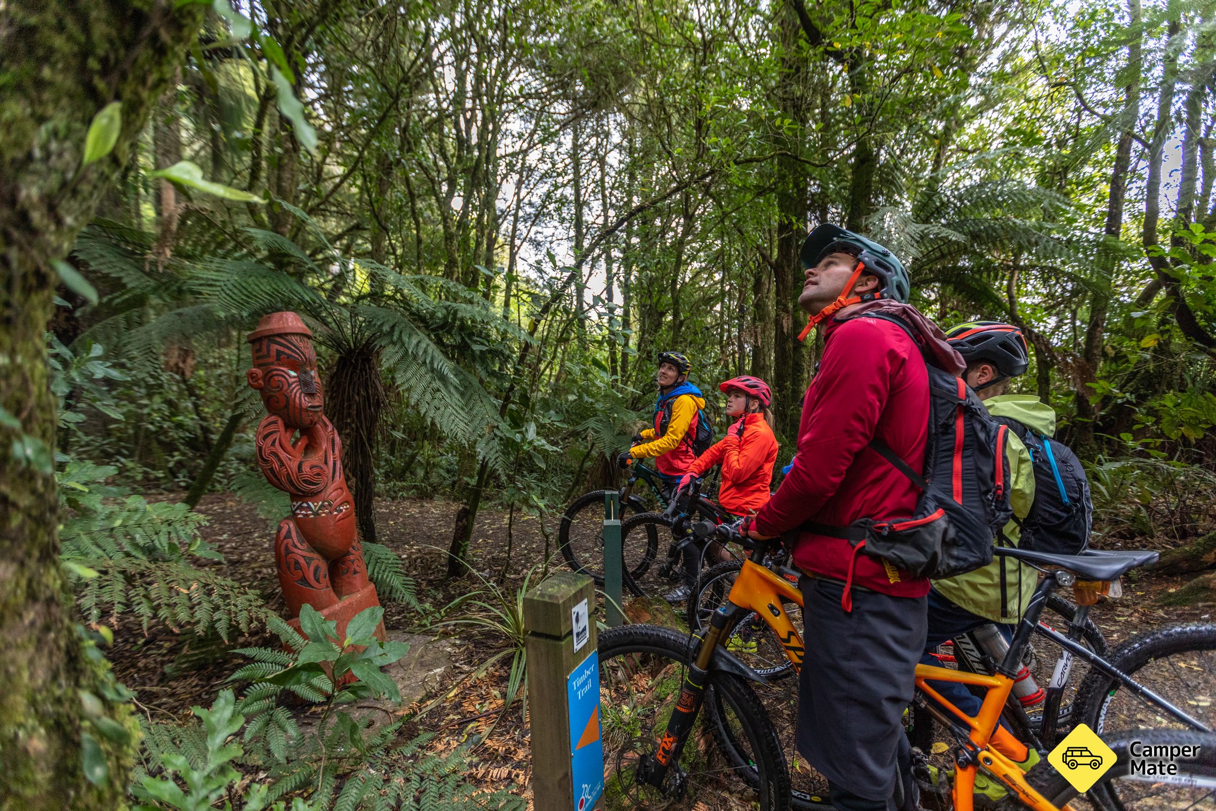The Timber Trail - Image 2