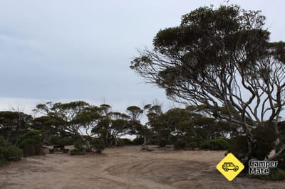 Fishermans Point Campground