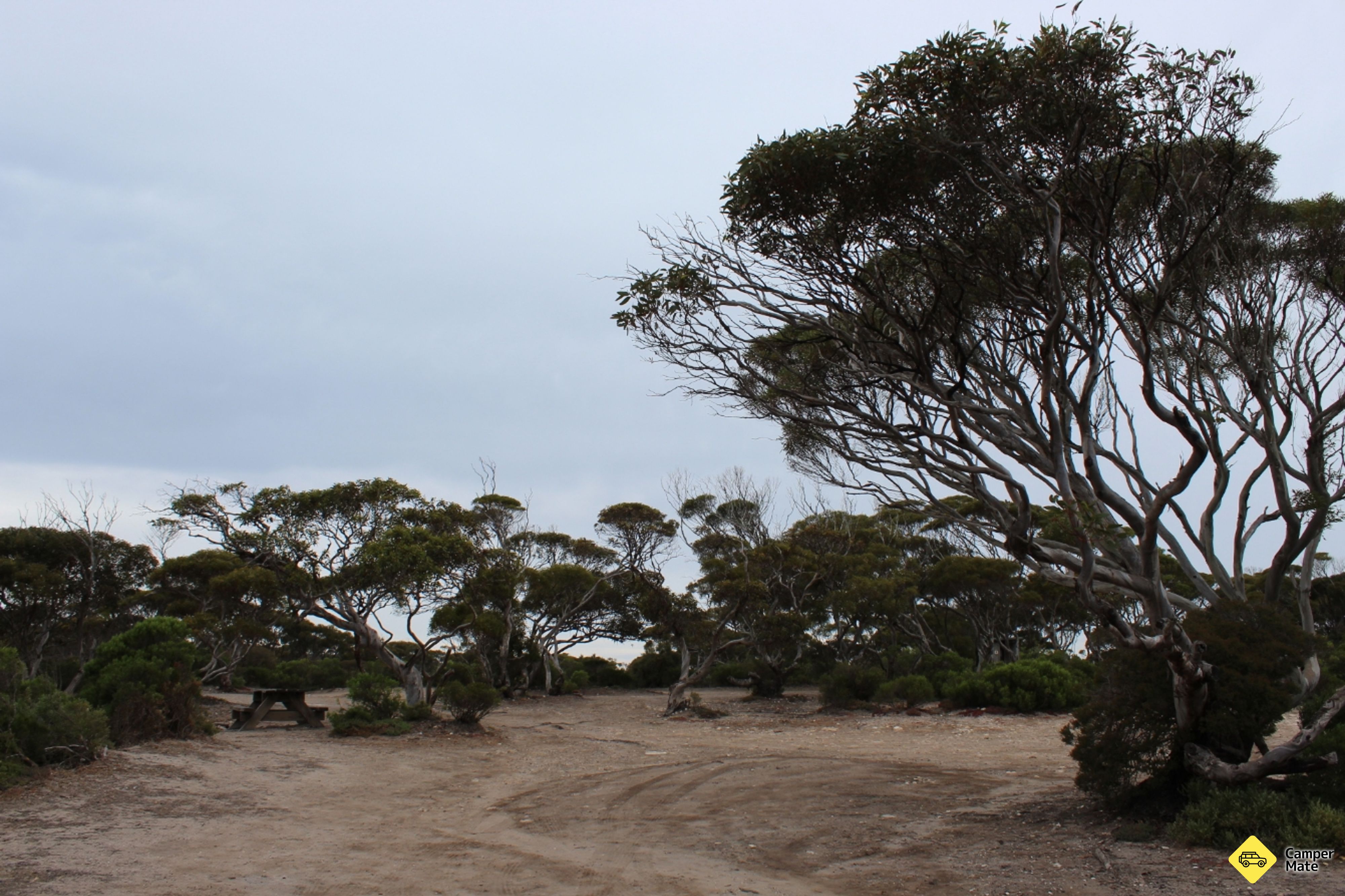 Fishermans Point Campground