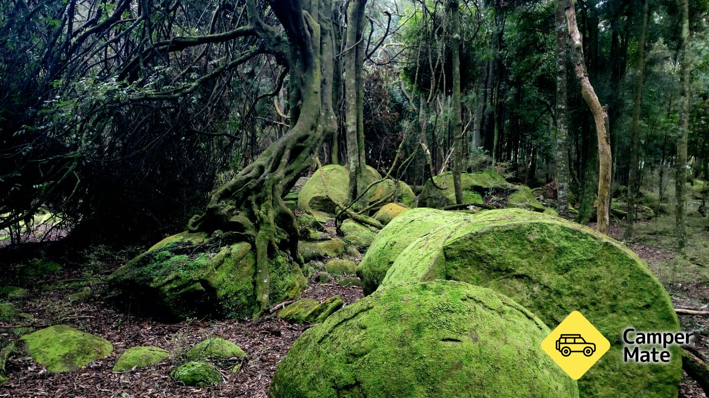 Whitecliffs Boulders - Image 3