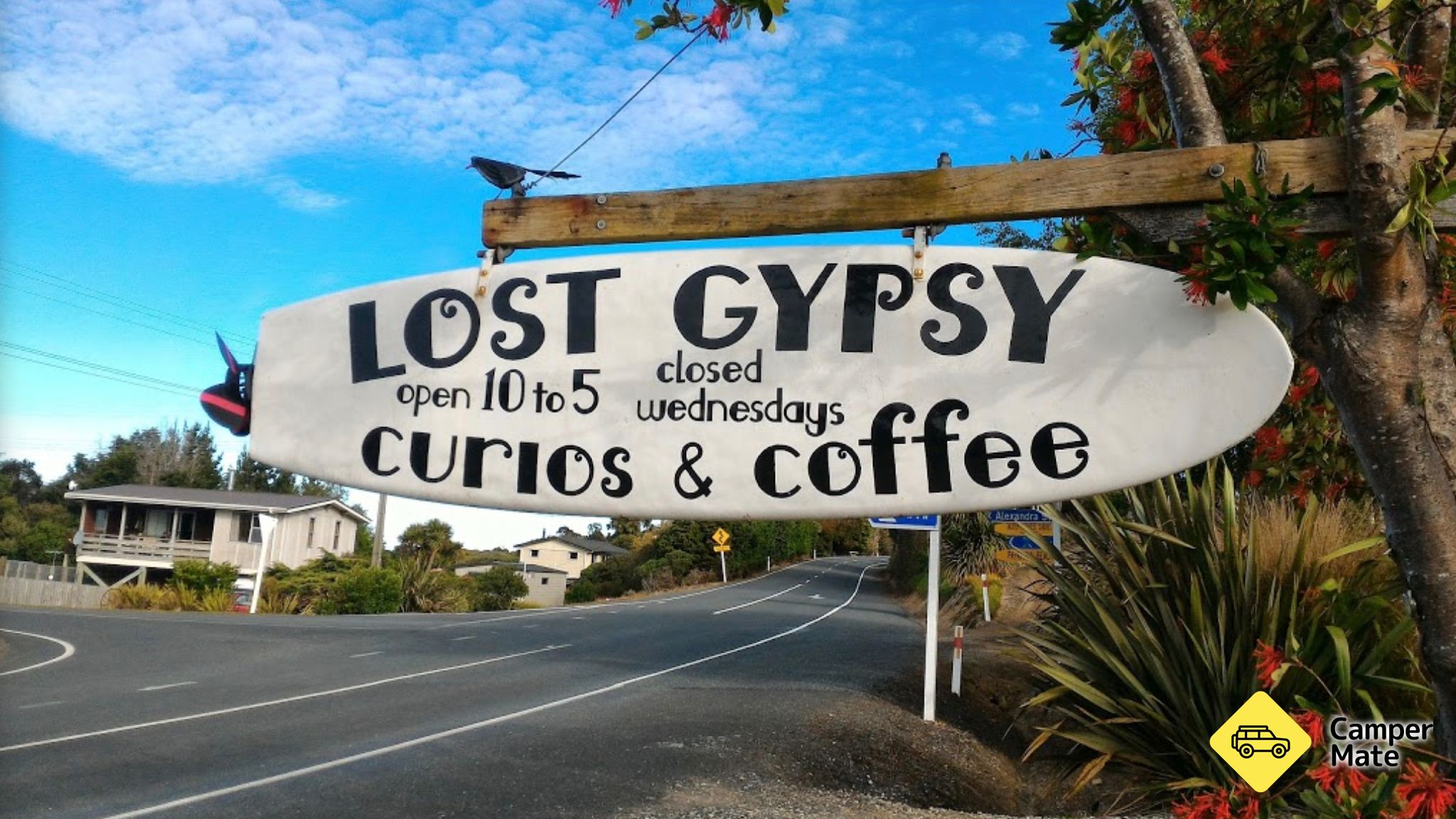 The Lost Gypsy Gallery