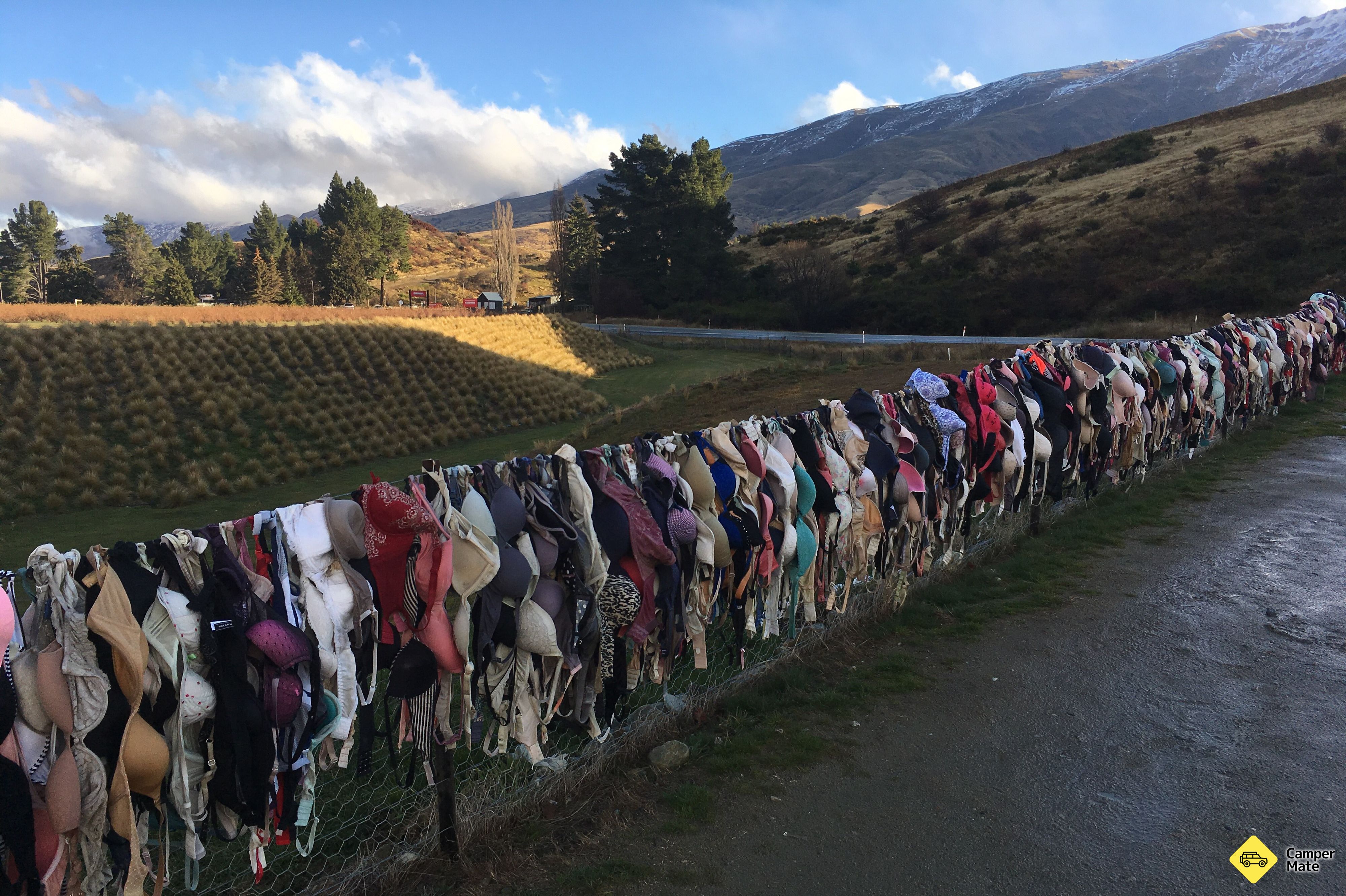 La clôture de Cardrona Bra - Image 2