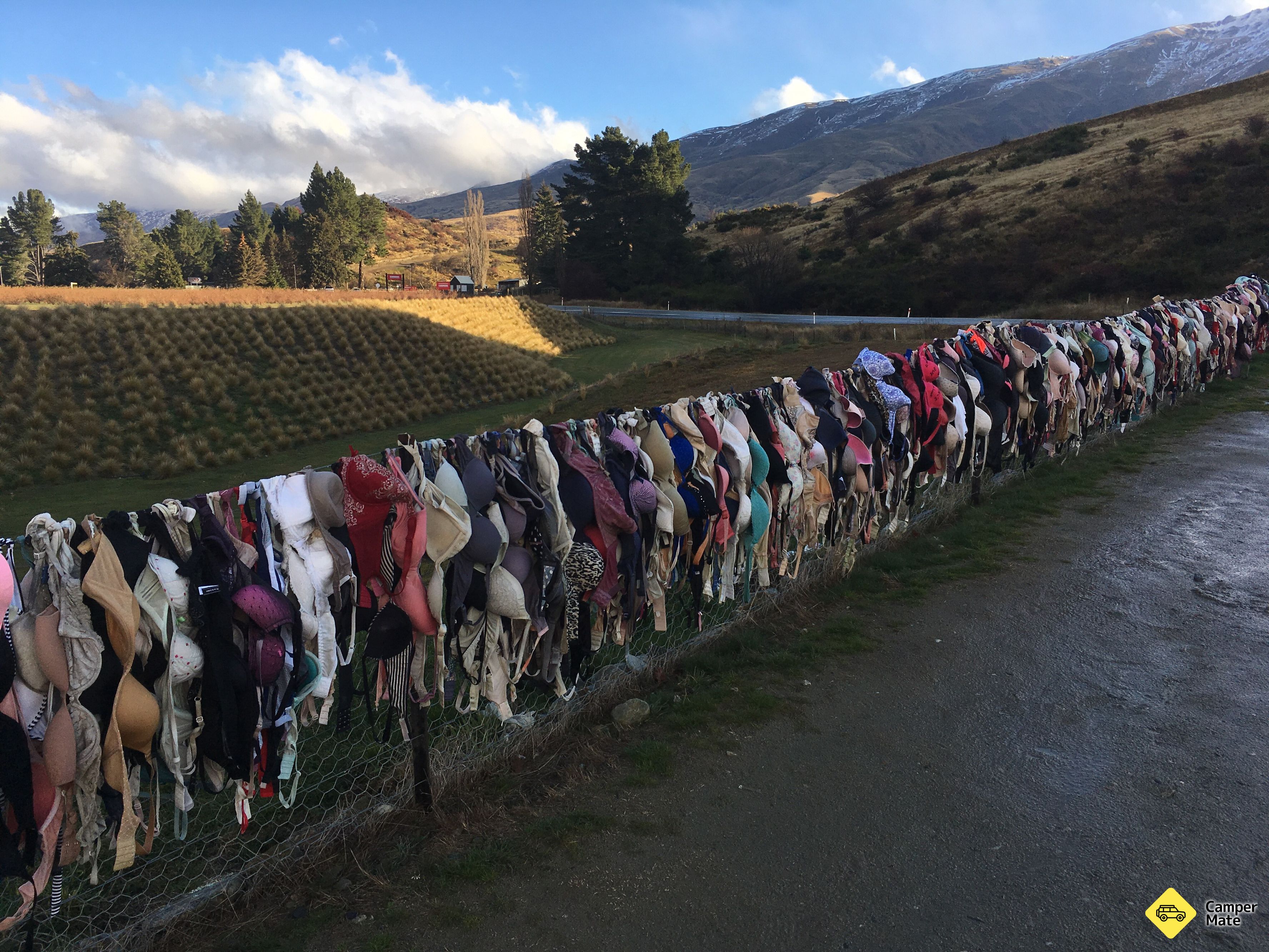 The Cardrona Bra รั้ว - Image 2