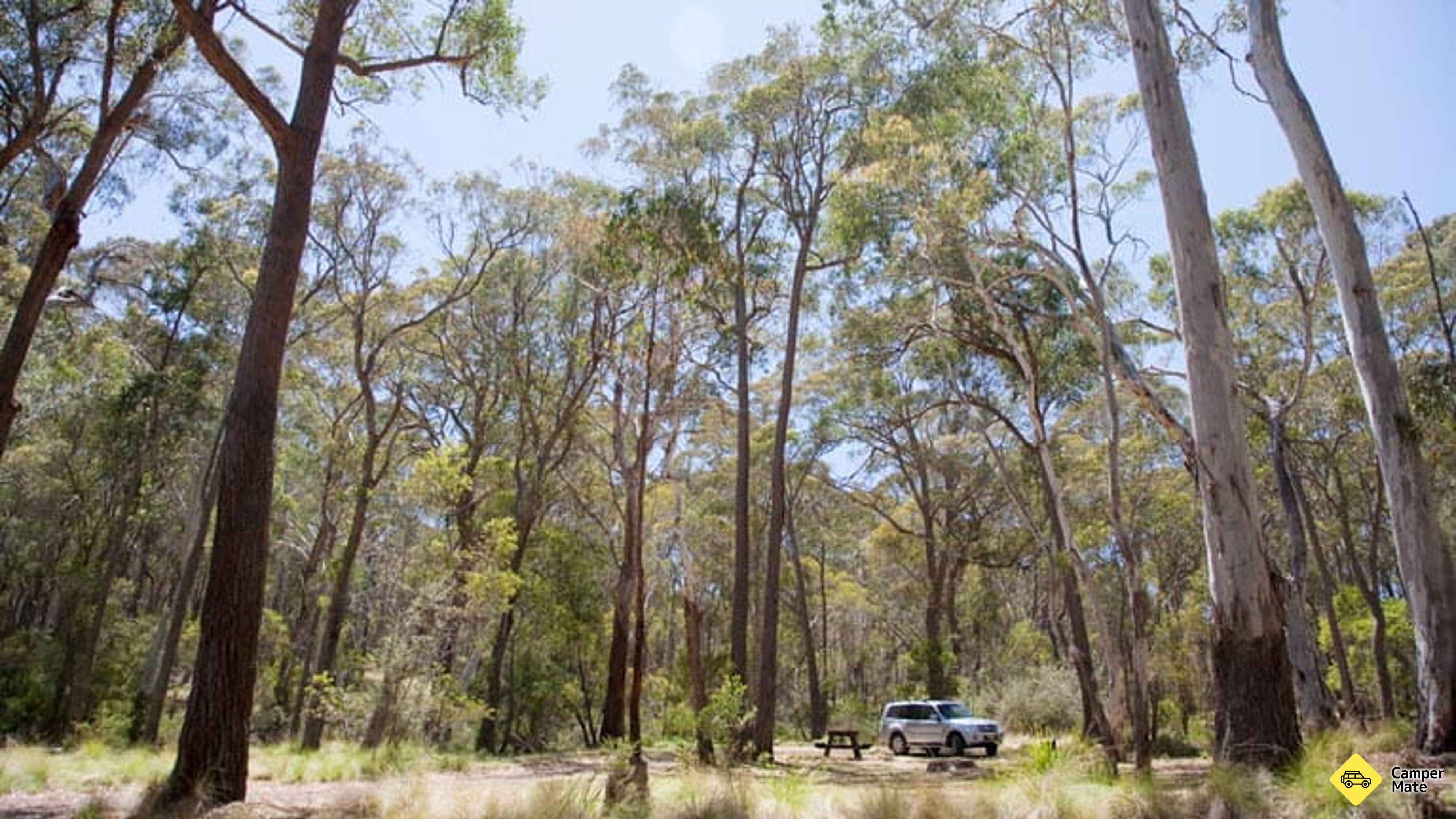 Restauranter i nærheden af Coolah Tops National Park Camping