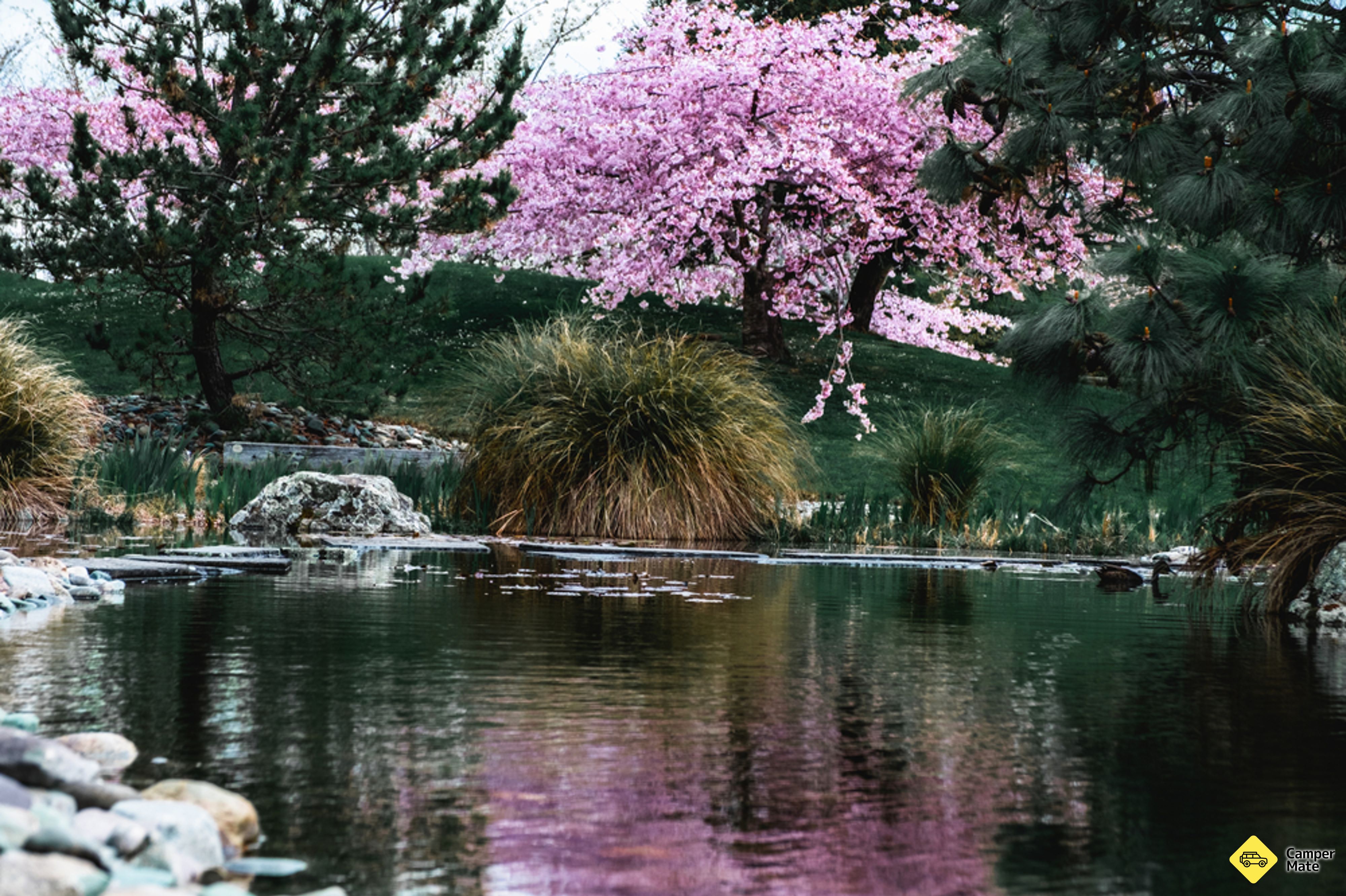 Miyazu Japanese Garden Walk - Image 2