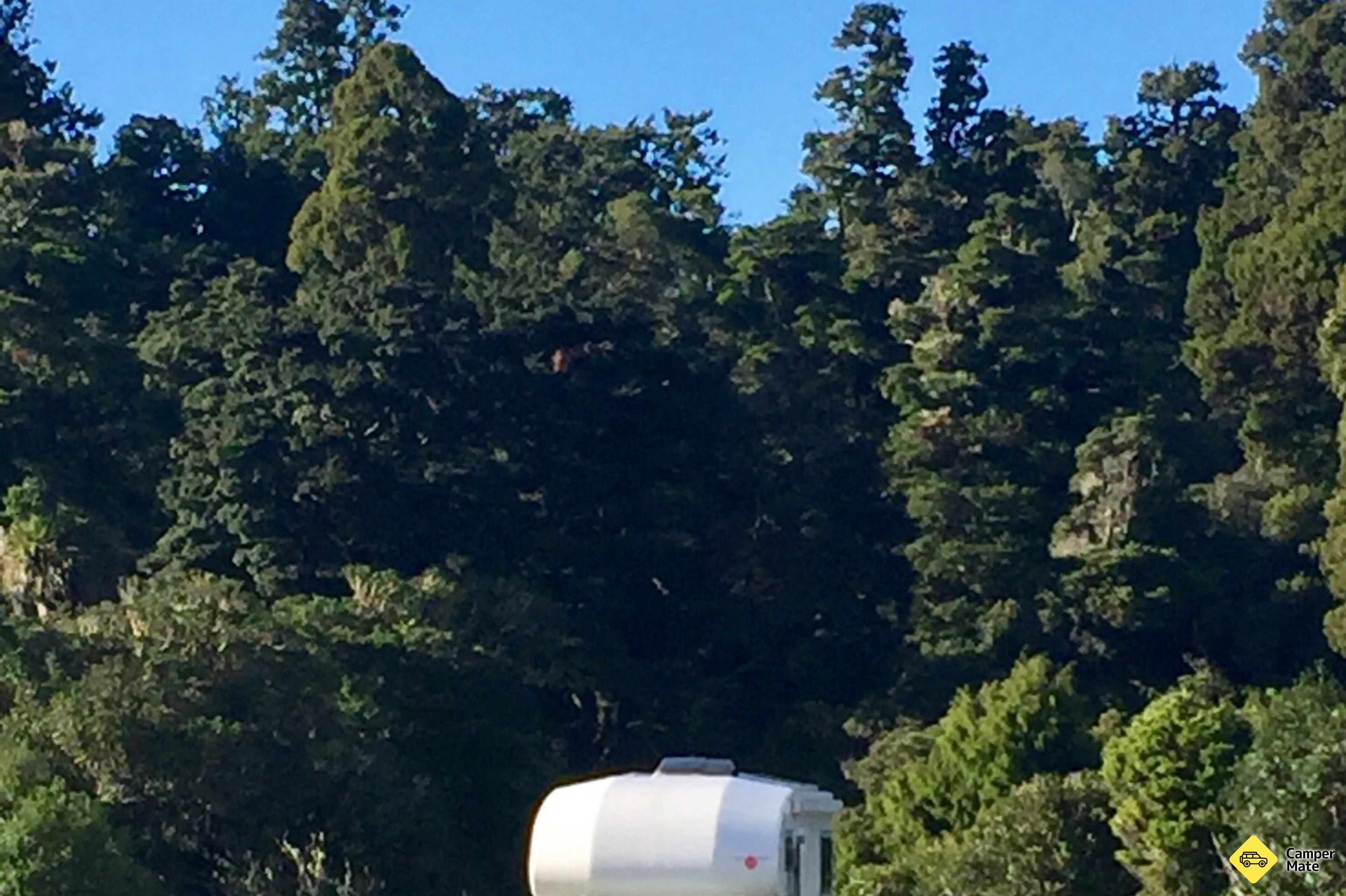 Mangawhero Campsite