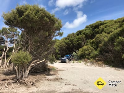 Three Mile Bend Campingplatz