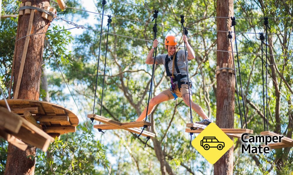 Další podrobnosti o zařízení Treetop Adventure Coffs Harbour - Image 3
