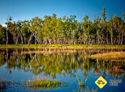 Lake Murphy Conservation Park