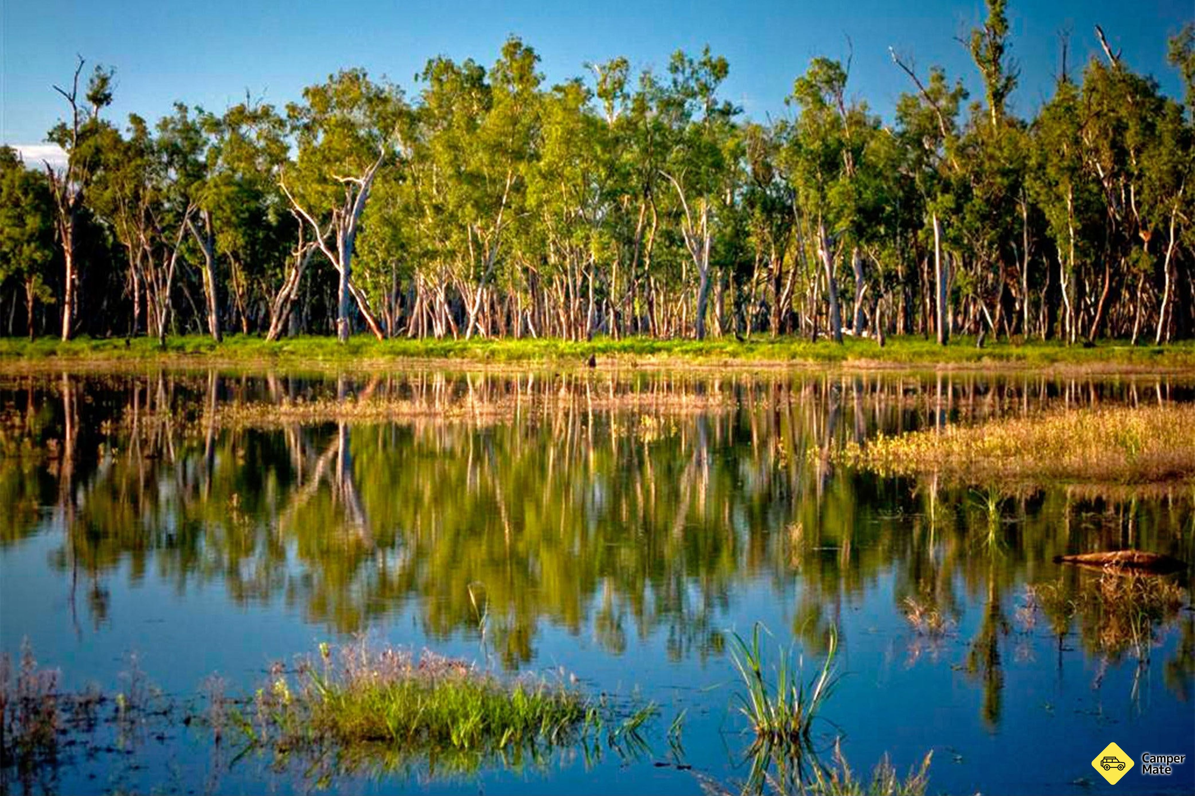 Lake Murphy Conservation Park