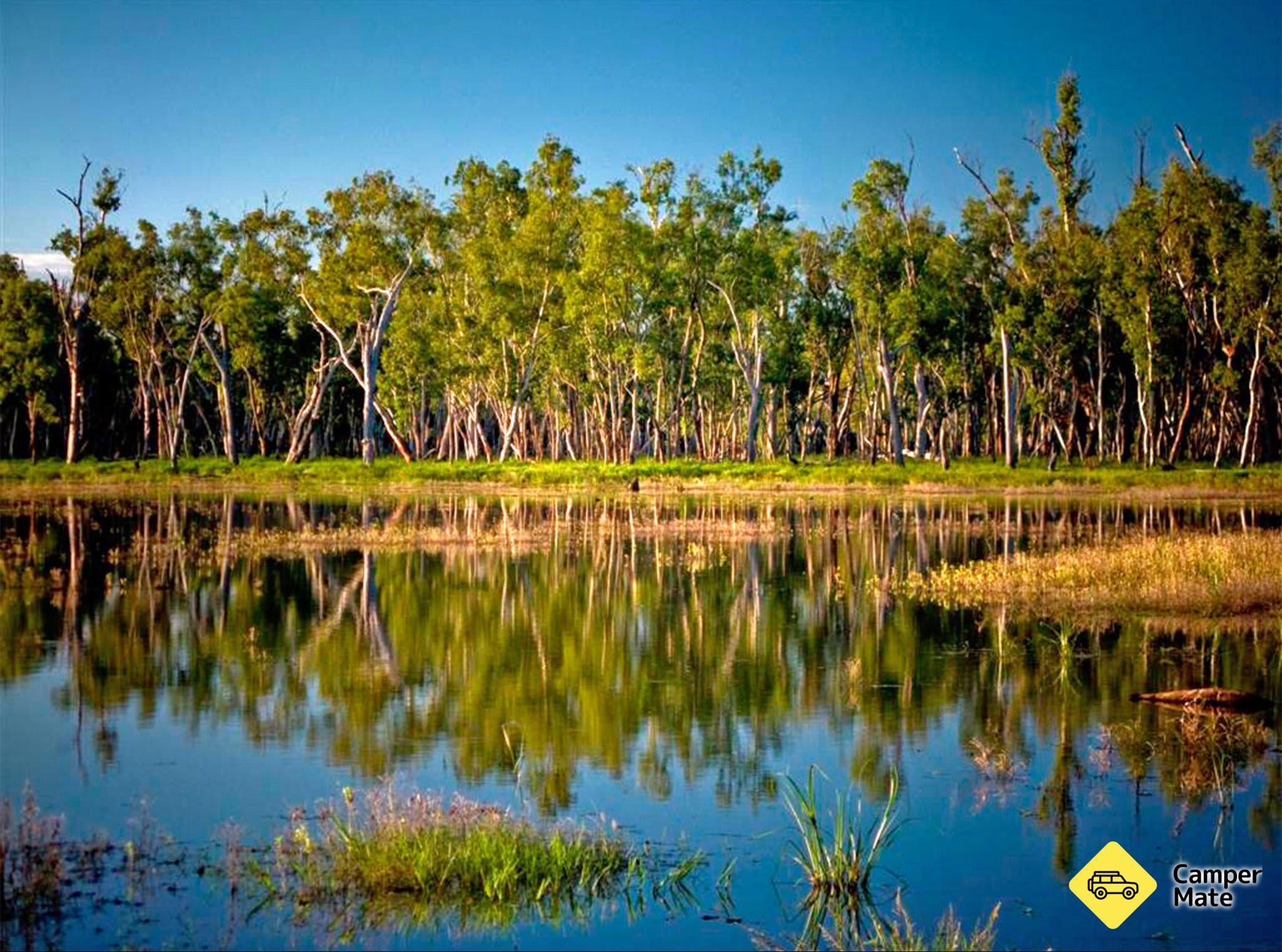 Lake Murphy Conservation Park