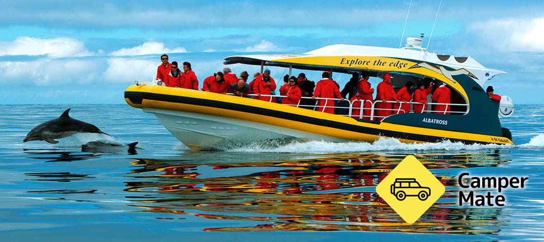 Tasman Island Cruise Day Tour from Hobart - Image 2